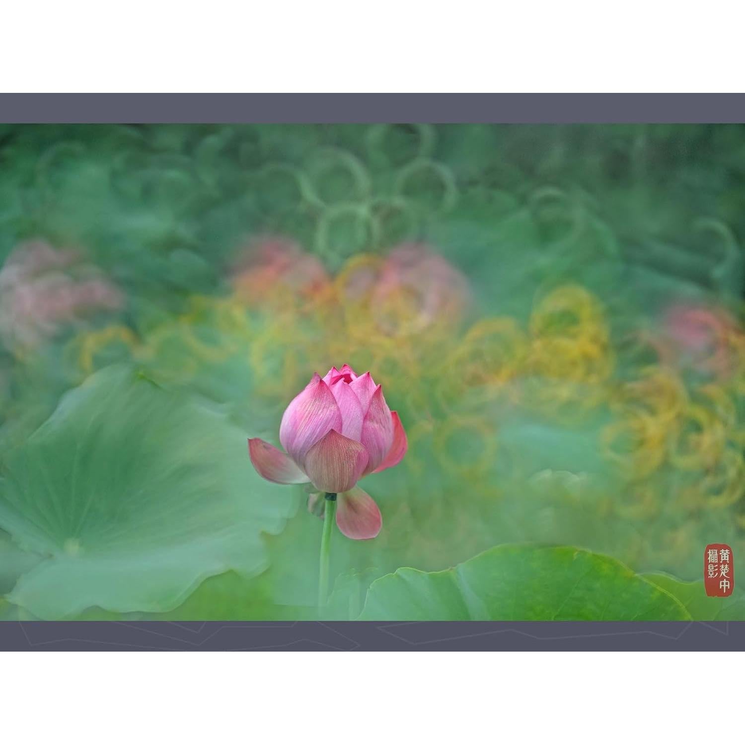 Lente Retrato Kase 200mm F5.6 MC Reflex para Sony E