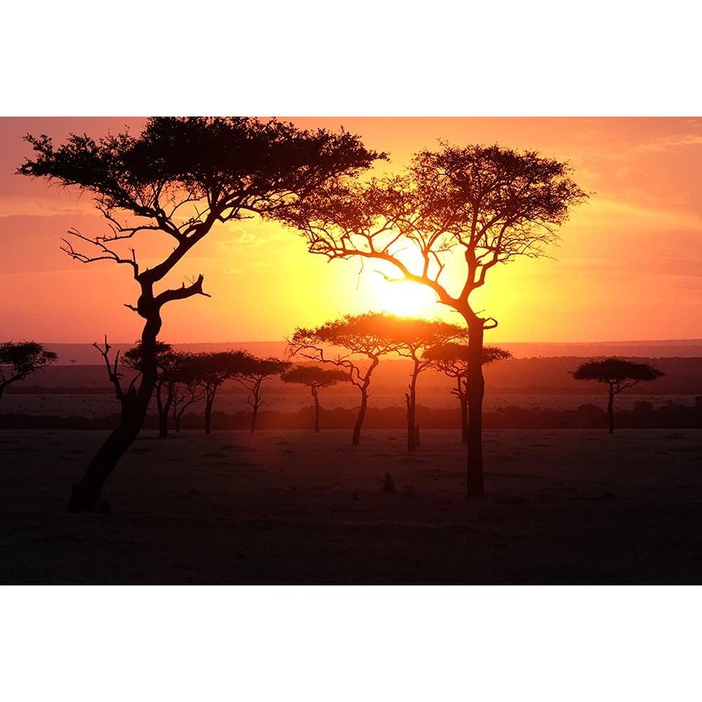 Lente Fujifilm XF 50-140mm F2.8 R LM OIS WR con Accesorios