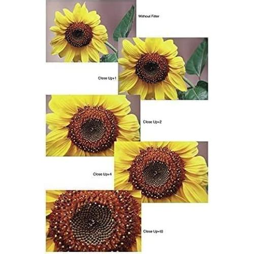 Kit de Filtros Macro Acuvar 40.5mm - 4 Piezas (+1, +2, +4, +10)