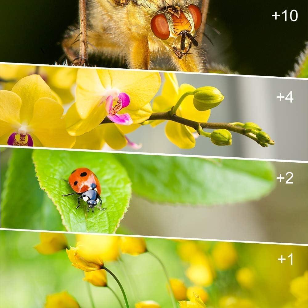 Kit de Filtros Macro Acuvar 40.5mm - 4 Piezas (+1, +2, +4, +10)