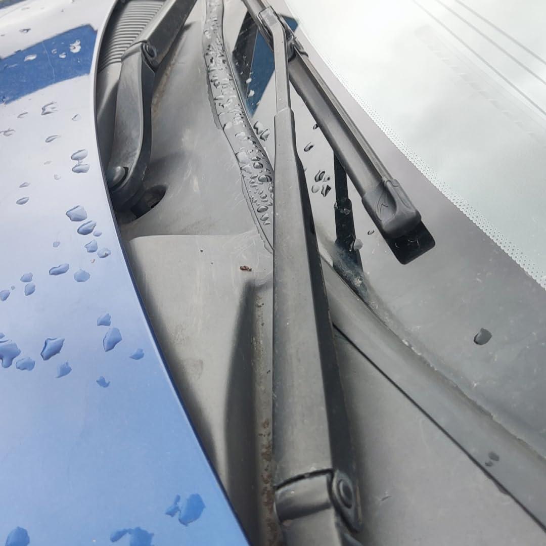 Tira de Sellado de Goma EPDM EdgeSeal 3 m para Parabrisas