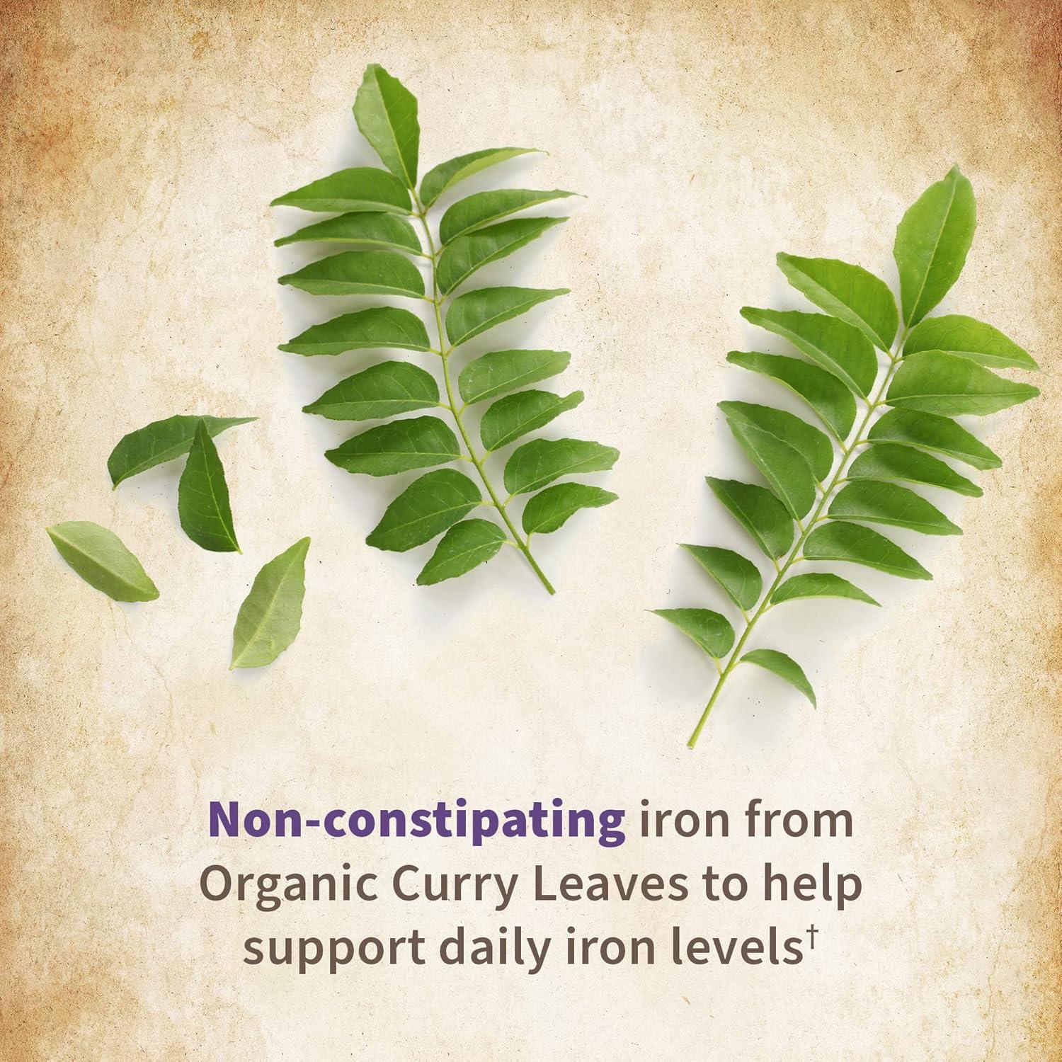 Vitaminas Prenatales Garden of Life 90 Cápsulas Orgánicas