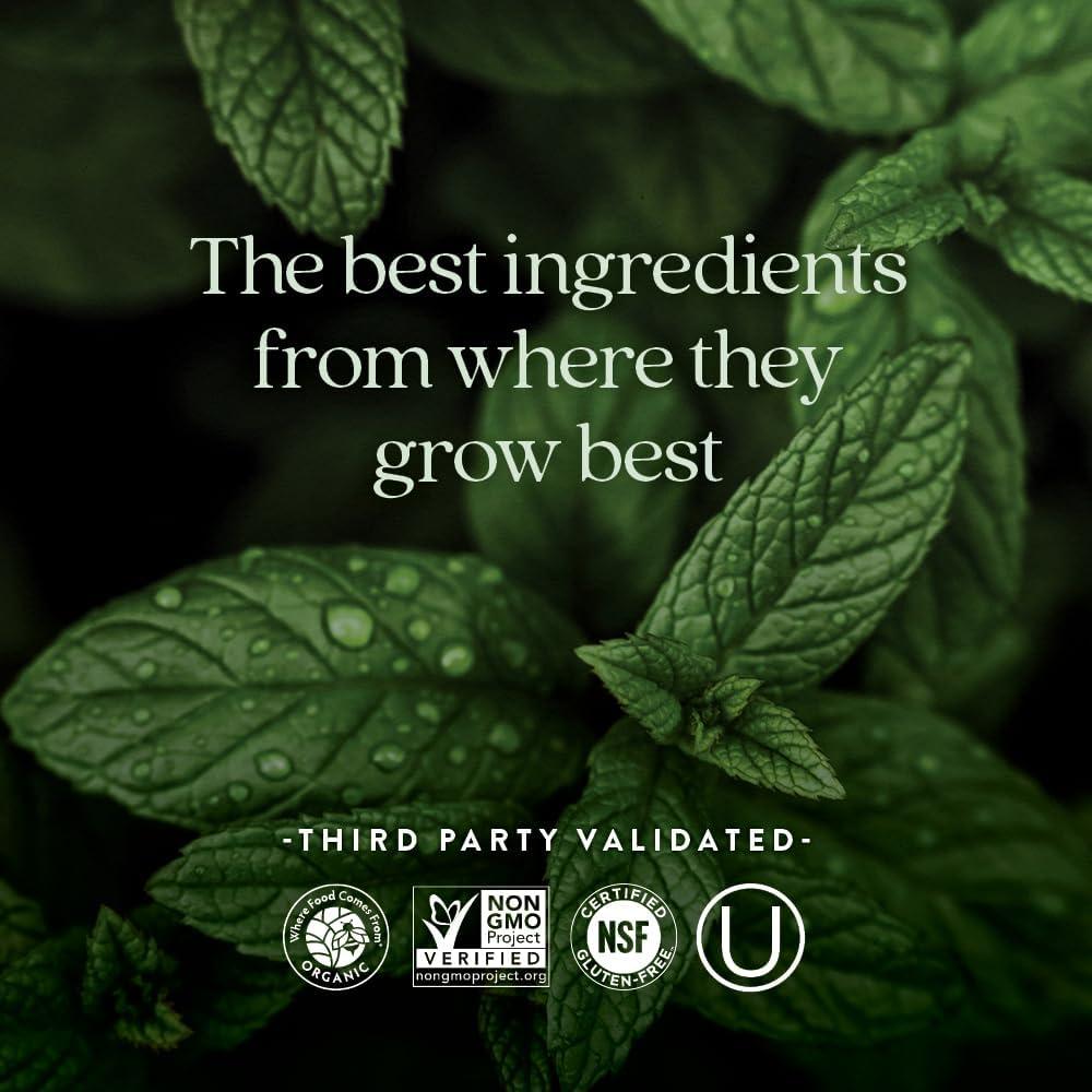 Suplemento de Hierro Fermentado New Chapter 60 Tabletas