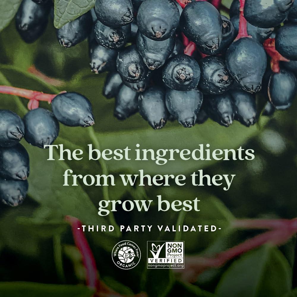 Gomitas Multivitamínicas New Chapter Niños 60ct - 50% Menos Azúcar