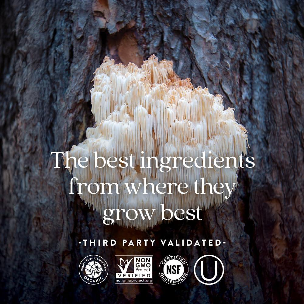 Suplemento Nervioso New Chapter 30 Cápsulas Veganas B1 B6 B12