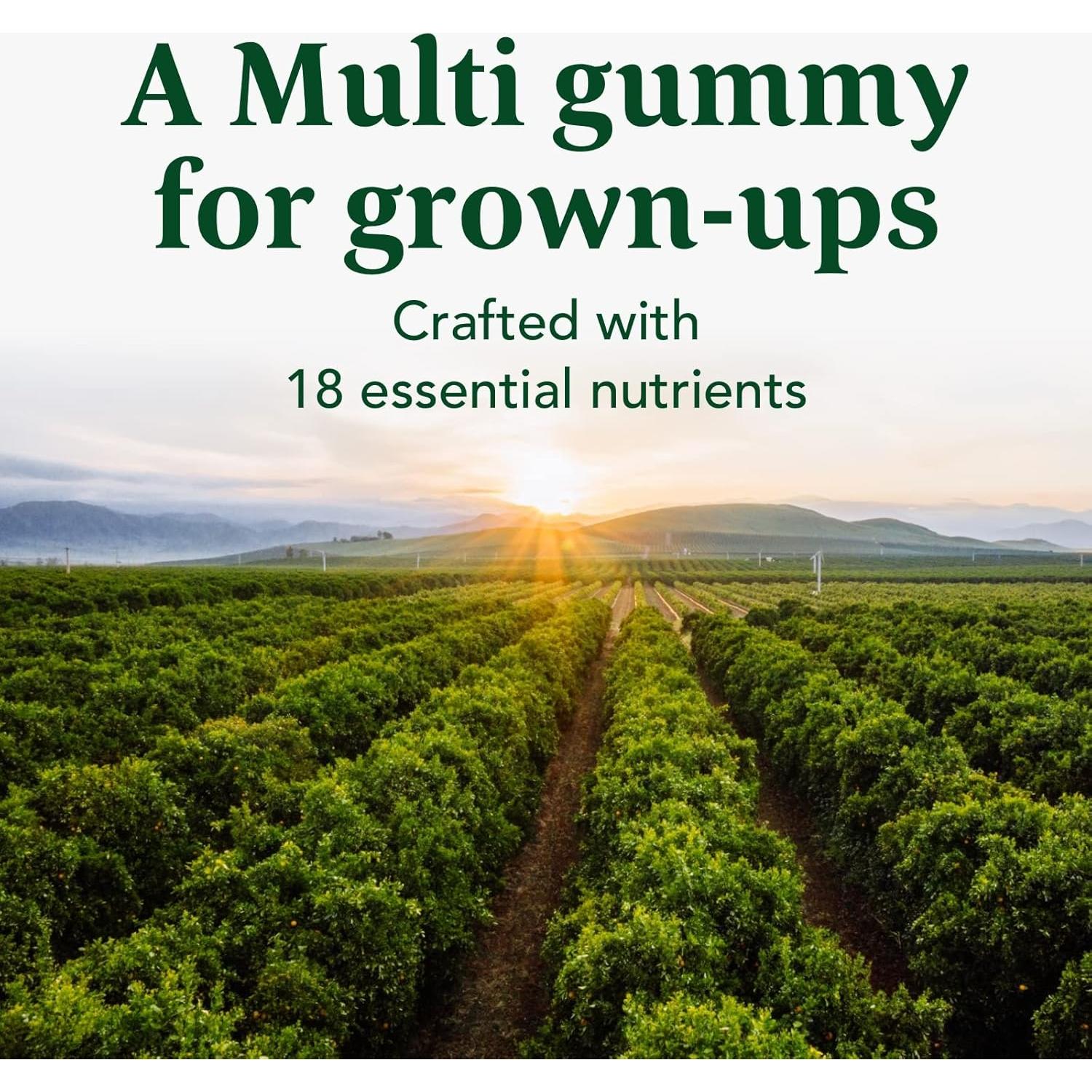 MegaFood Multivitamínico Gummy para Hombres - 60 Gomas