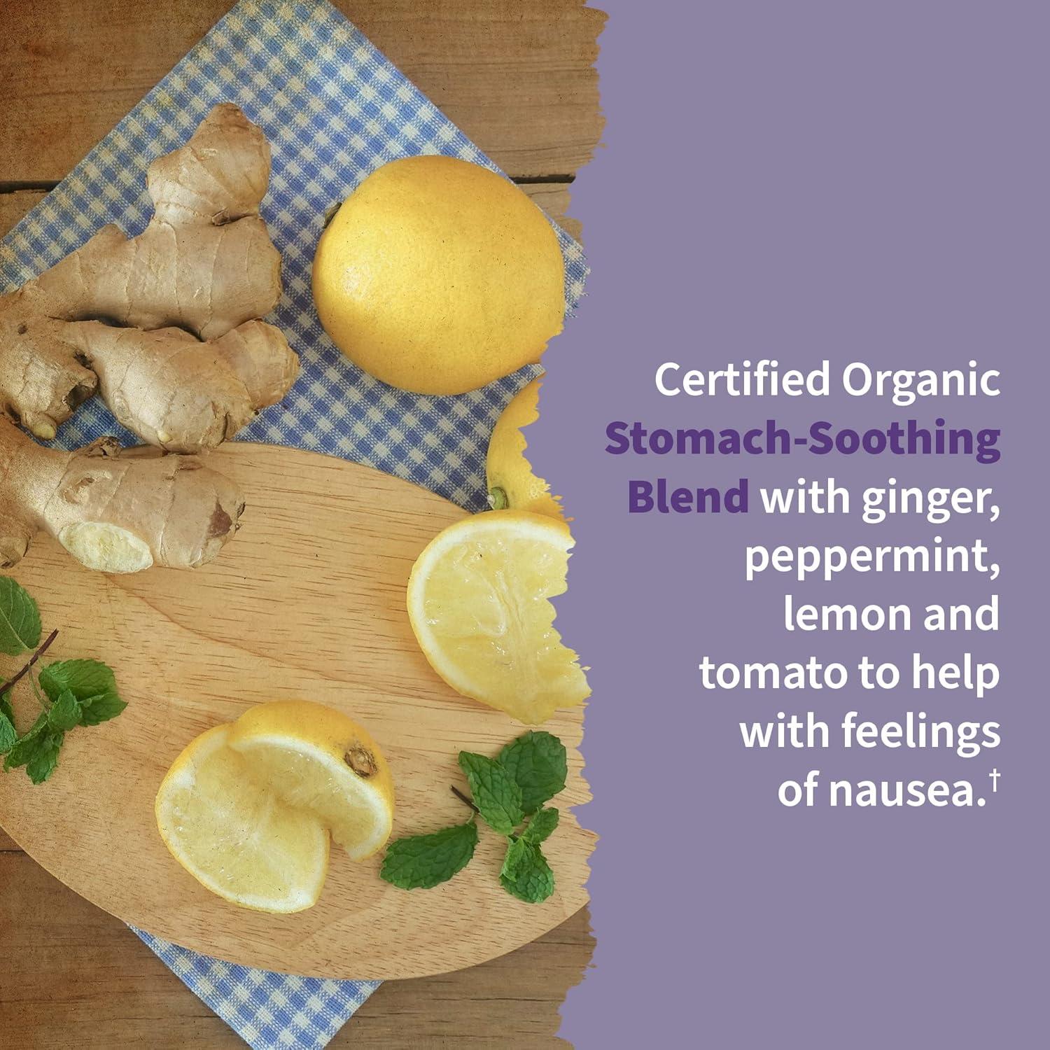 Multivitamínico Prenatal Minami Natural 60 Gelatinas Omega 3