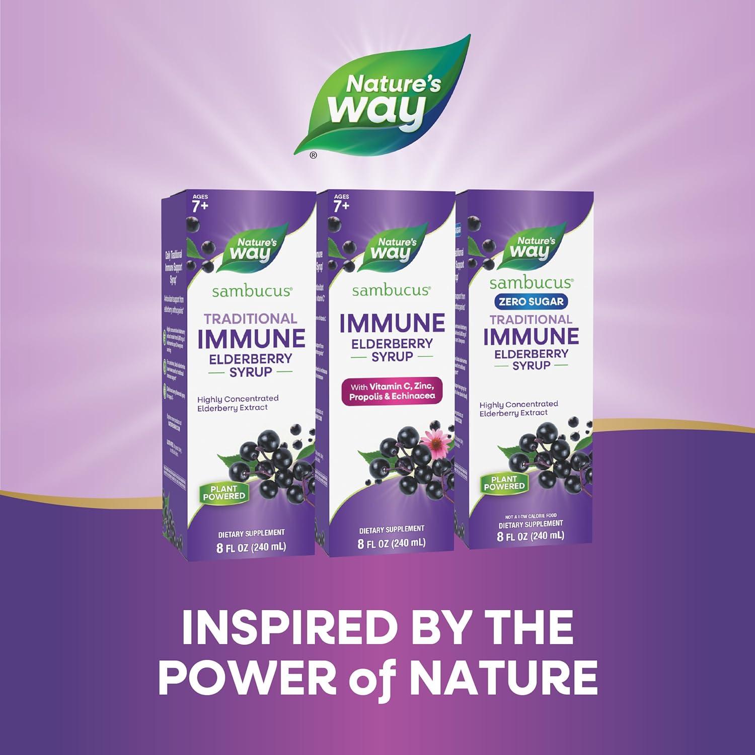 Jarabe Inmunológico Nature's Way 240 ml Vitamina C Zinc