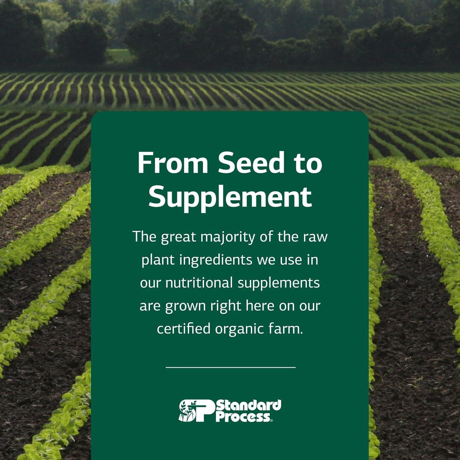 Suplemento Nutricional Standard Process Catalyn - 90 Tabletas