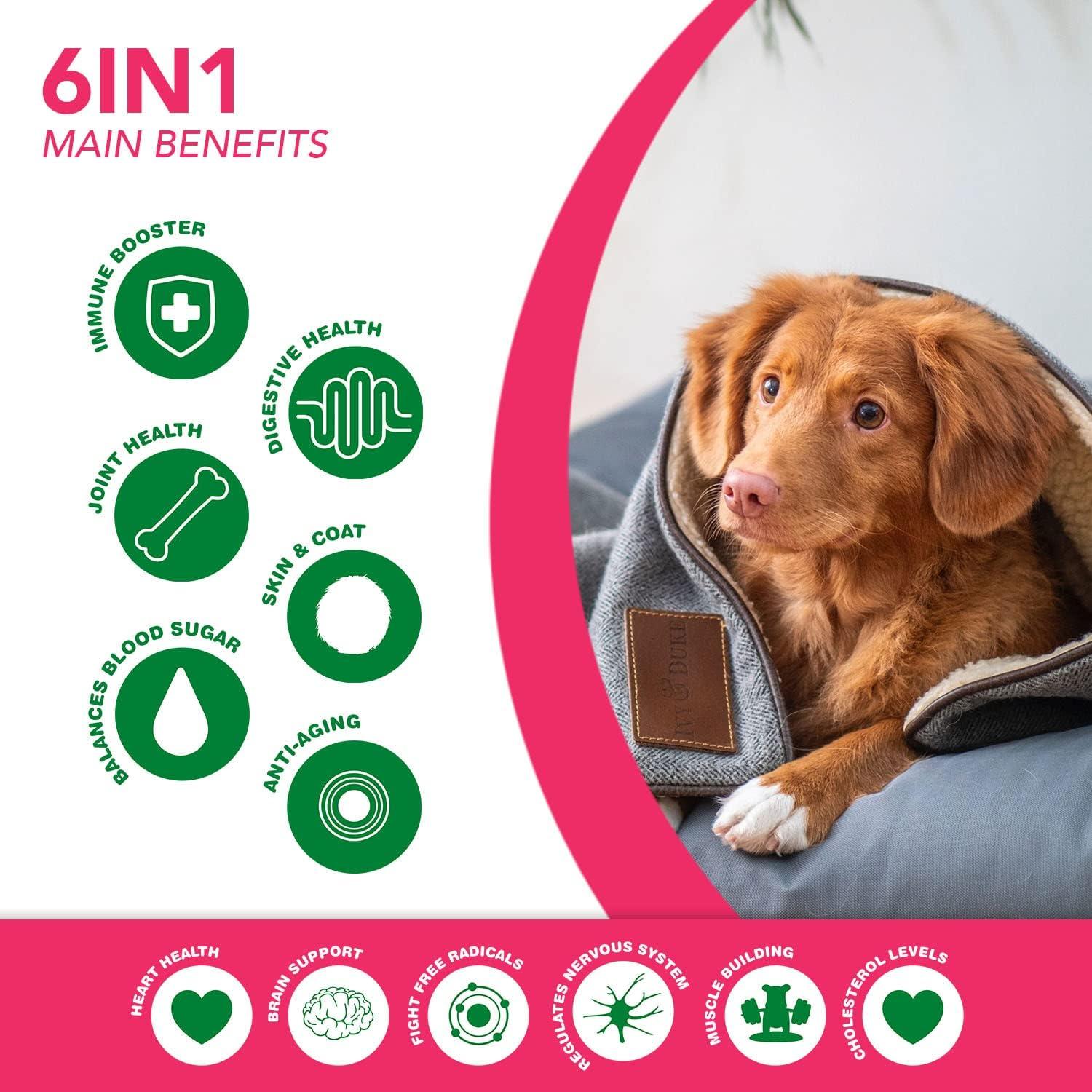 Suplemento 6 en 1 para Perros RUJI Naturals - 90 Masticables