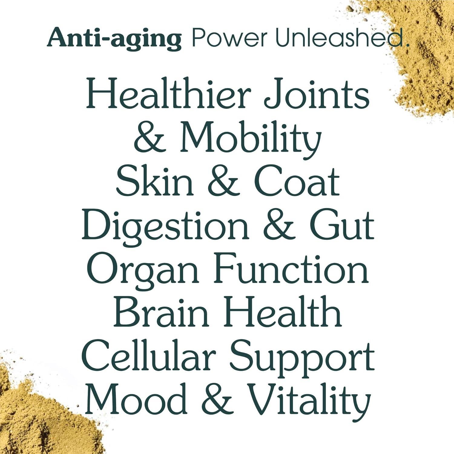 Suplemento en polvo para perros Arterra 60 cucharadas salud integral