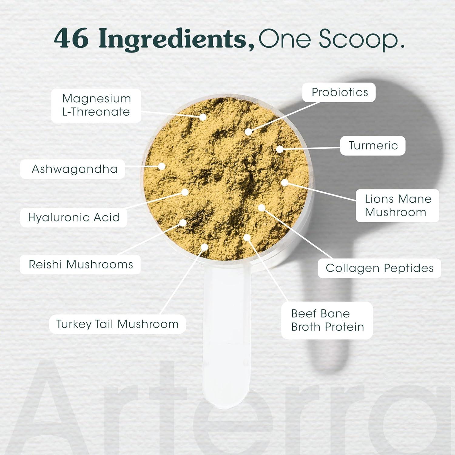 Suplemento en polvo para perros Arterra 60 cucharadas salud integral