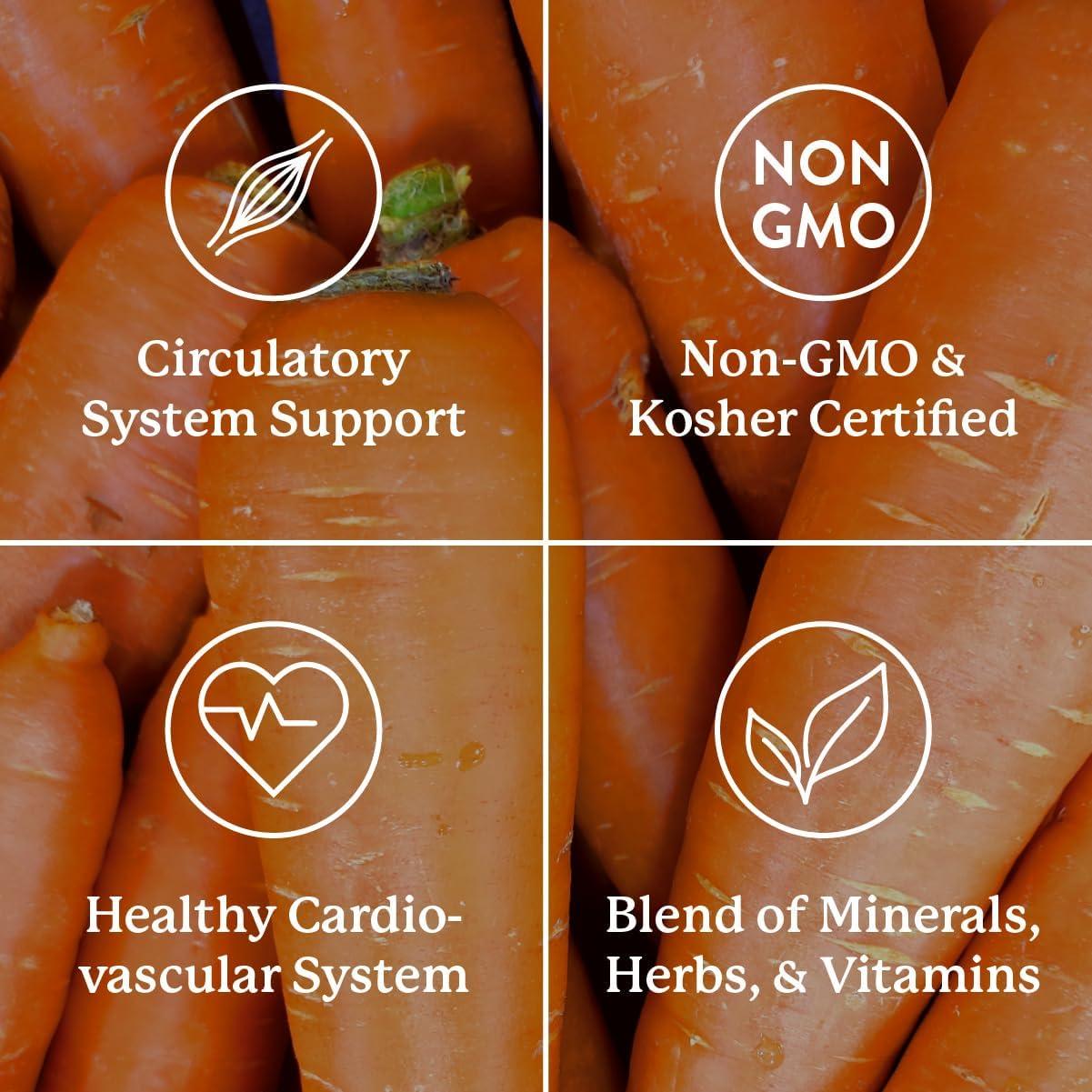 Mega-Chel Nature's Sunshine 120 Tabletas Suplemento Mineral