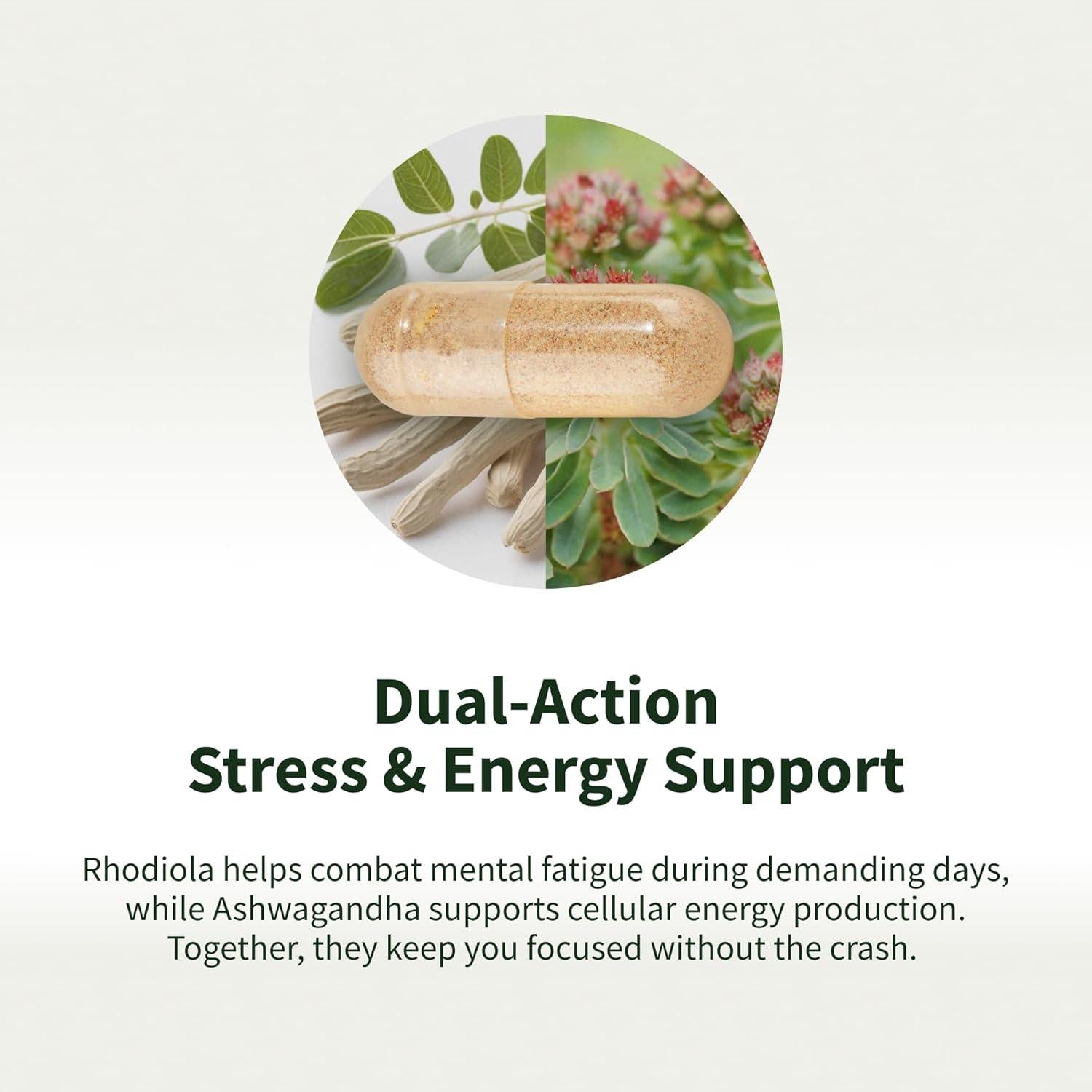 Suplemento Energético Natural Snap Supplements 60 Cápsulas