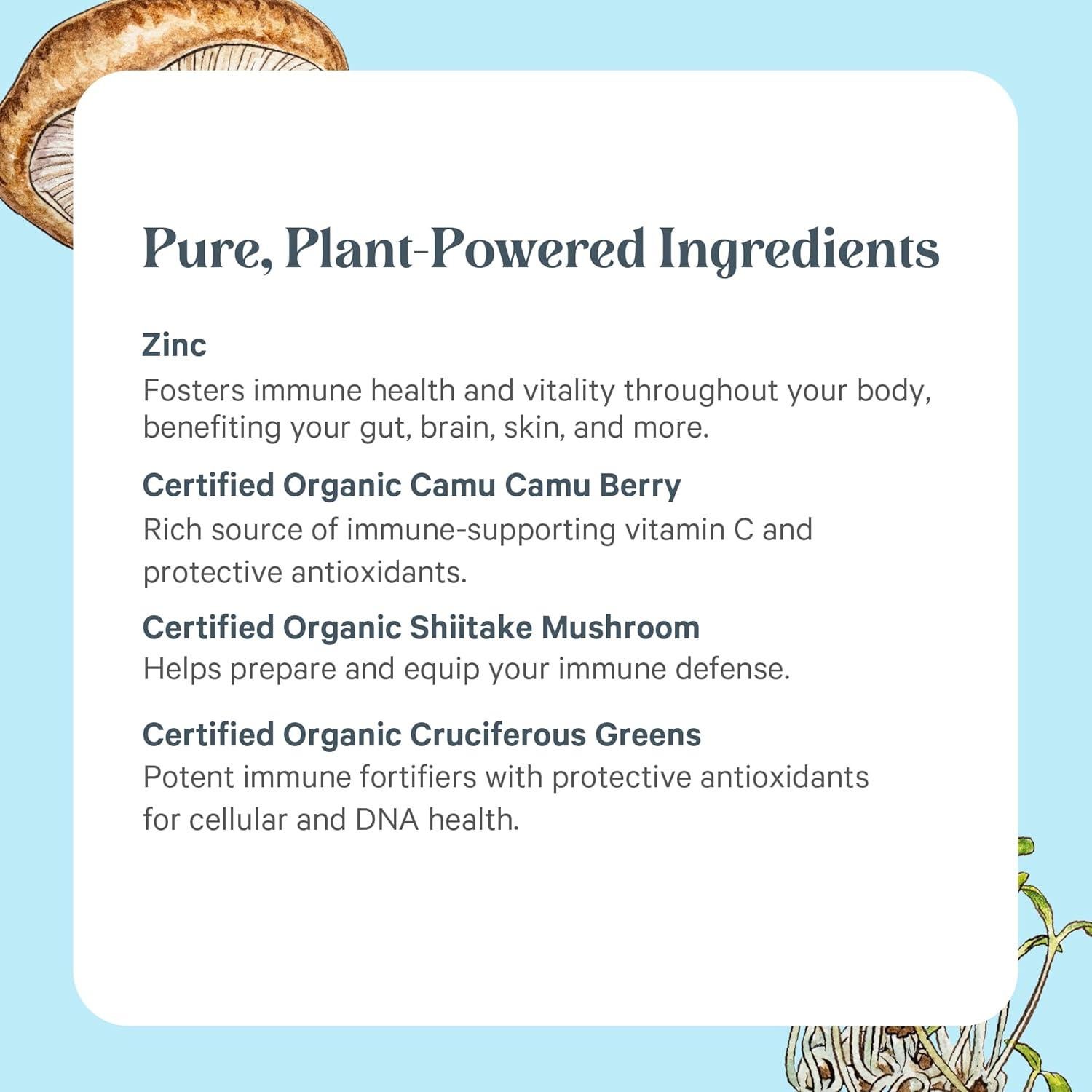 Suplemento de Zinc Orgánico Synergy 60 Cápsulas - Inmunidad