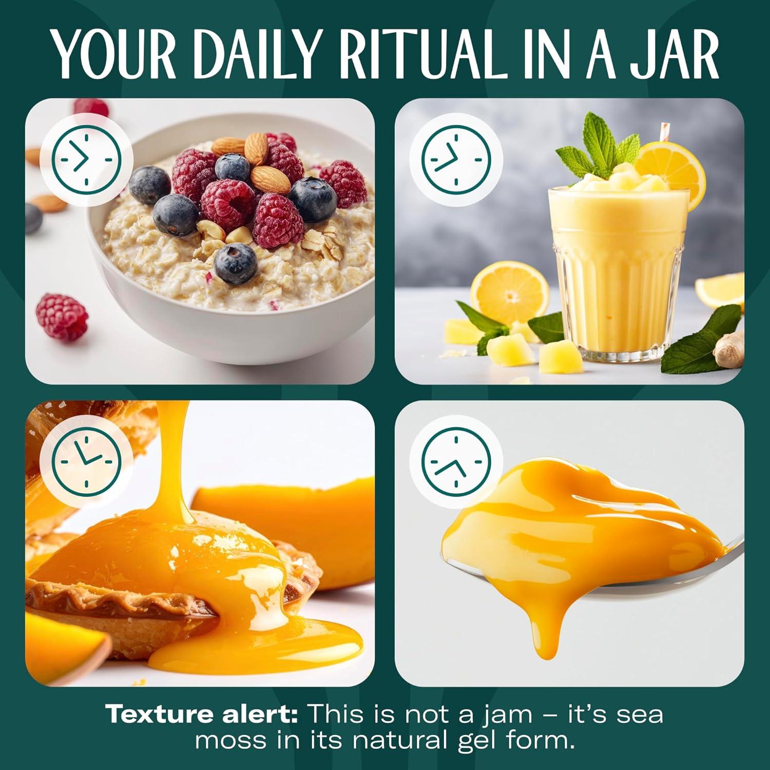 Gel de Musgo Marino TrueSeaMoss 473ml - Fómula 5 en 1 con Ashwagandha