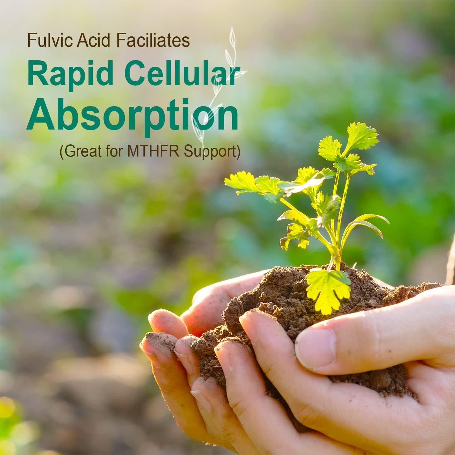 Multivitaminas Líquidas Vital Earth 946 ml con Ácido Fulvico