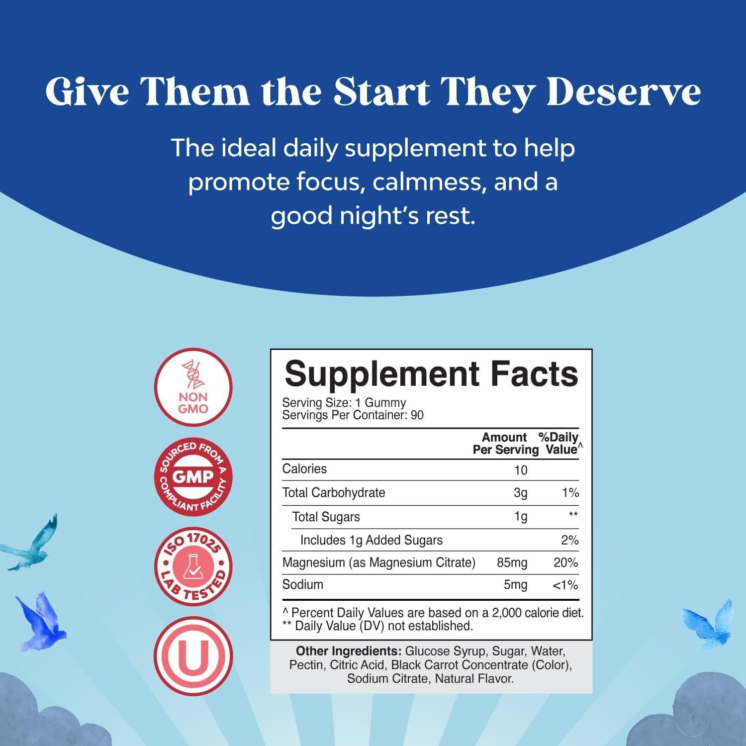 Gomitas de Magnesio para Niños Natures Craft 90 Unidades Sabor Frambuesa