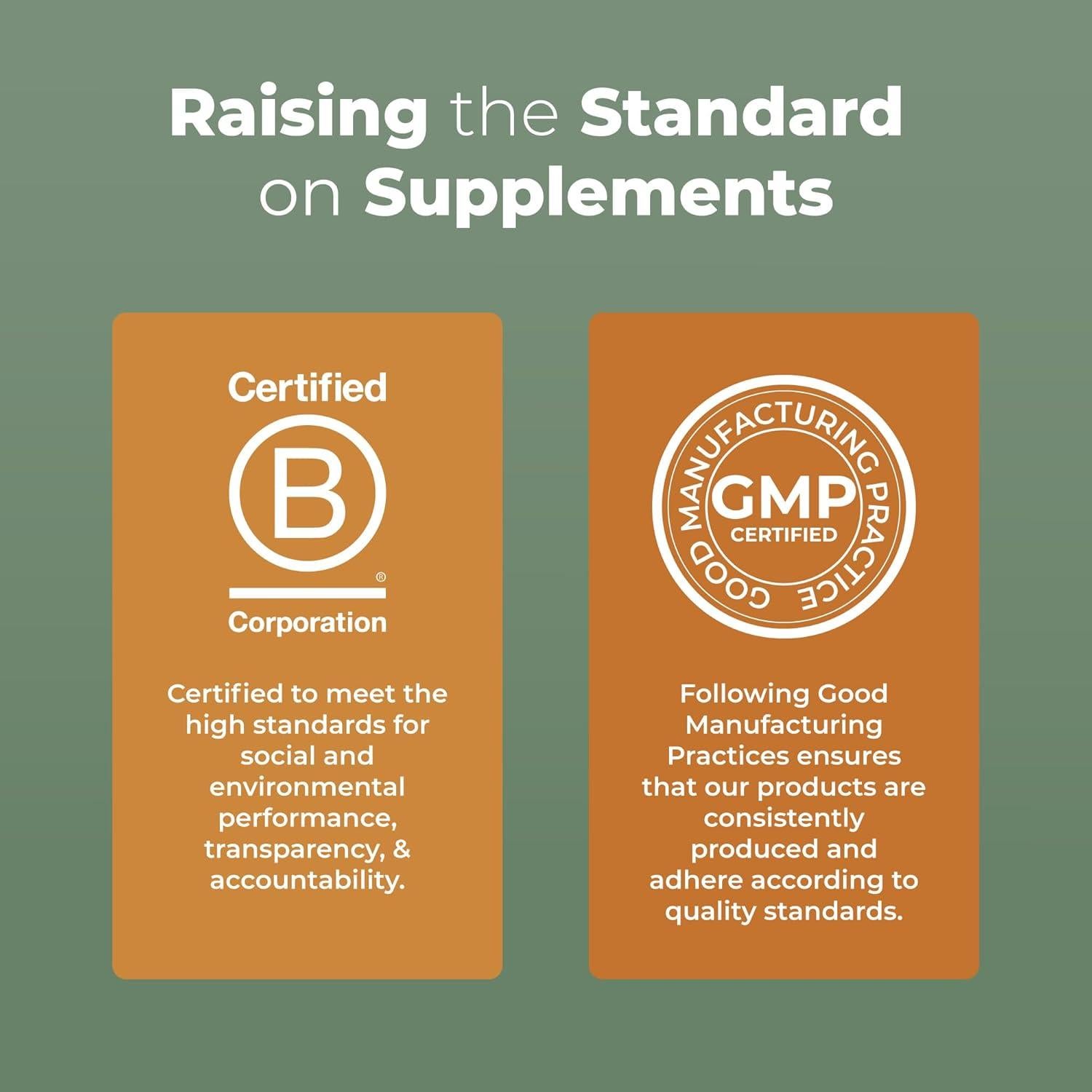 Suplemento Vegano de Champiñón Reishi MaryRuth 215g | Ultra Absorción