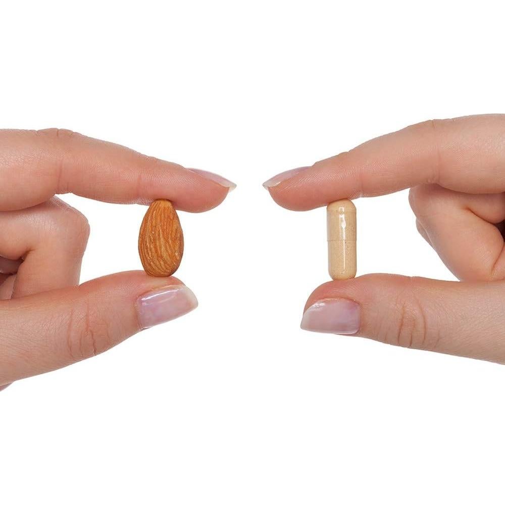 Multivitamínico Prenatal Buscando Salud 60 Cápsulas Sin Metilo