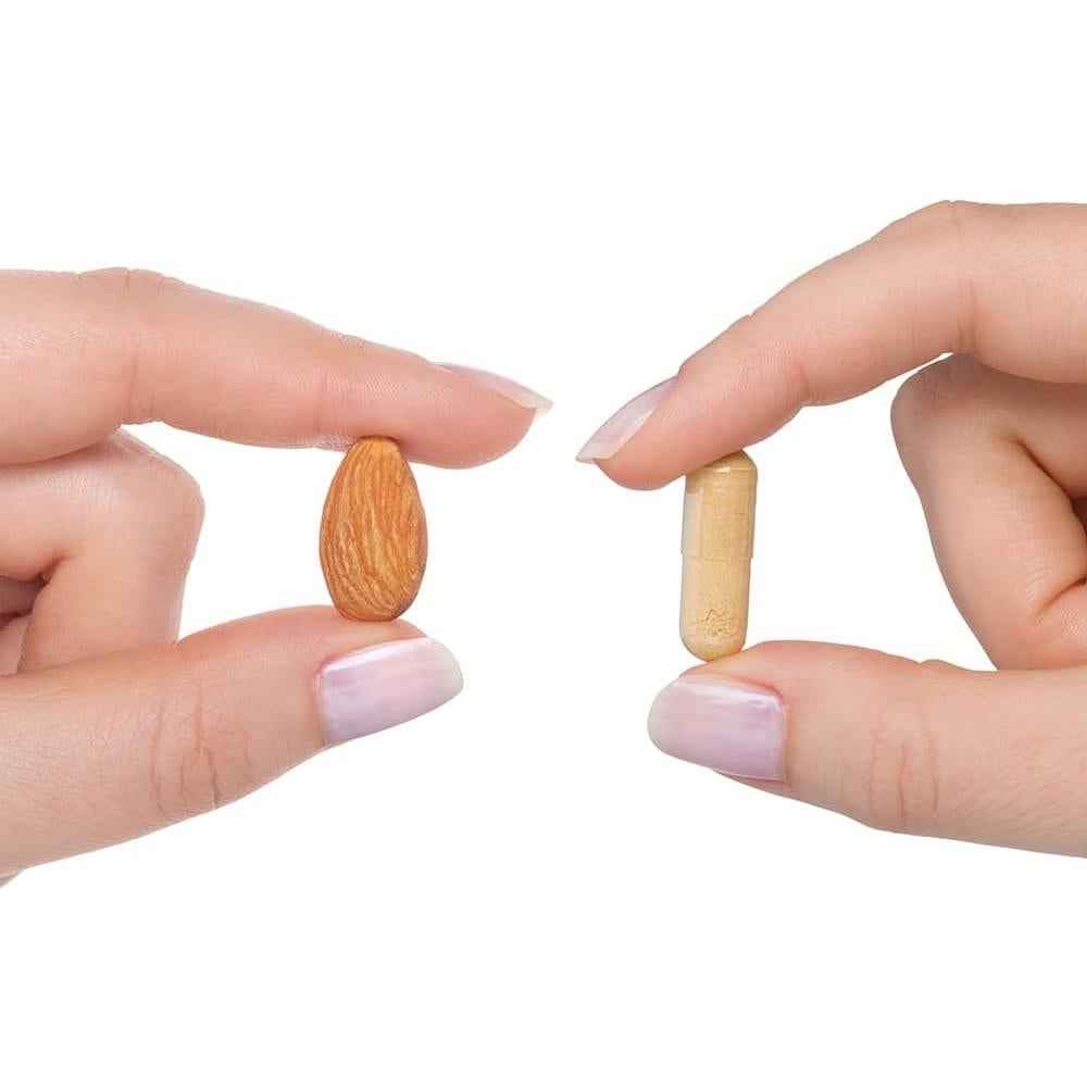 Suplemento Hepático Seeking Health | 60 Cápsulas Vegetarianas | Cardo Mariano, NAC y TMG