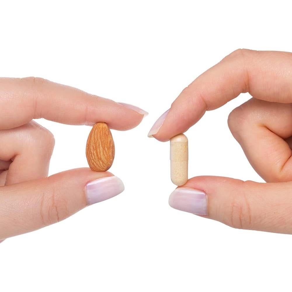 Suplemento Complejo de Vitamina B Seeking Health 100 Cápsulas