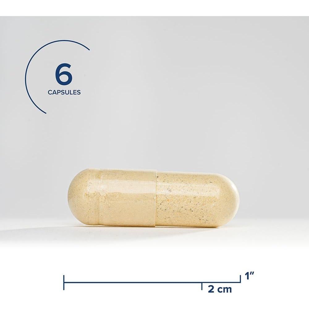 Vitaminas Prenatales Buscando Salud 180 Cápsulas B6 Jengibre