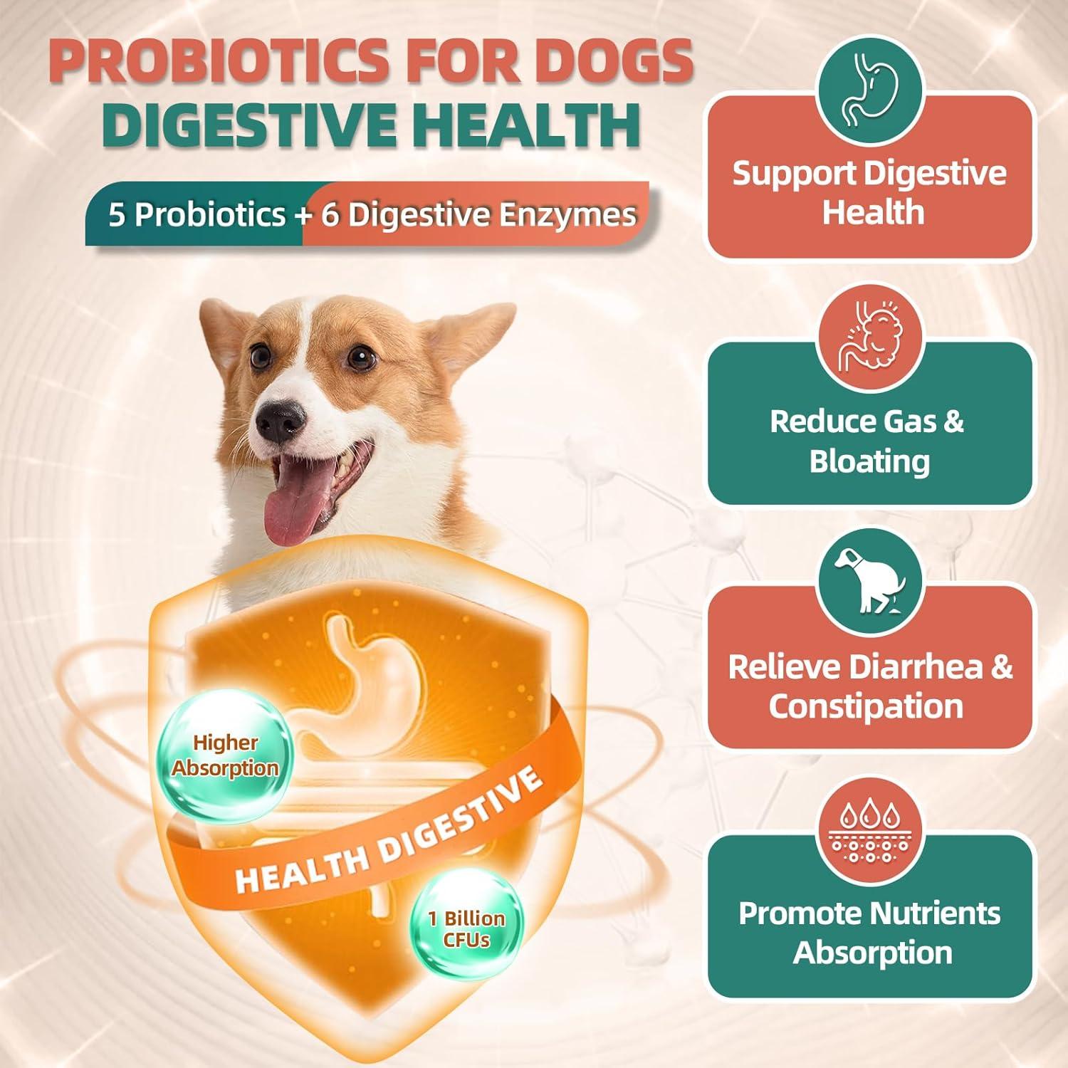 Multivitamínico Masticable para Perros DRFOSTER 120 Unidades