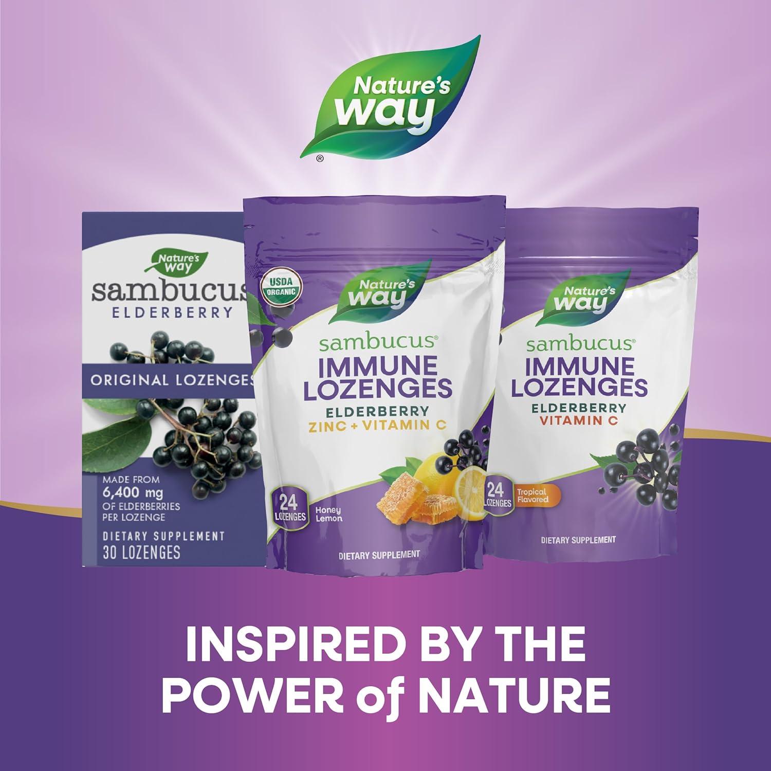 Lozenges Inmunes Nature's Way 24 Unidades Zinc Vitamina C