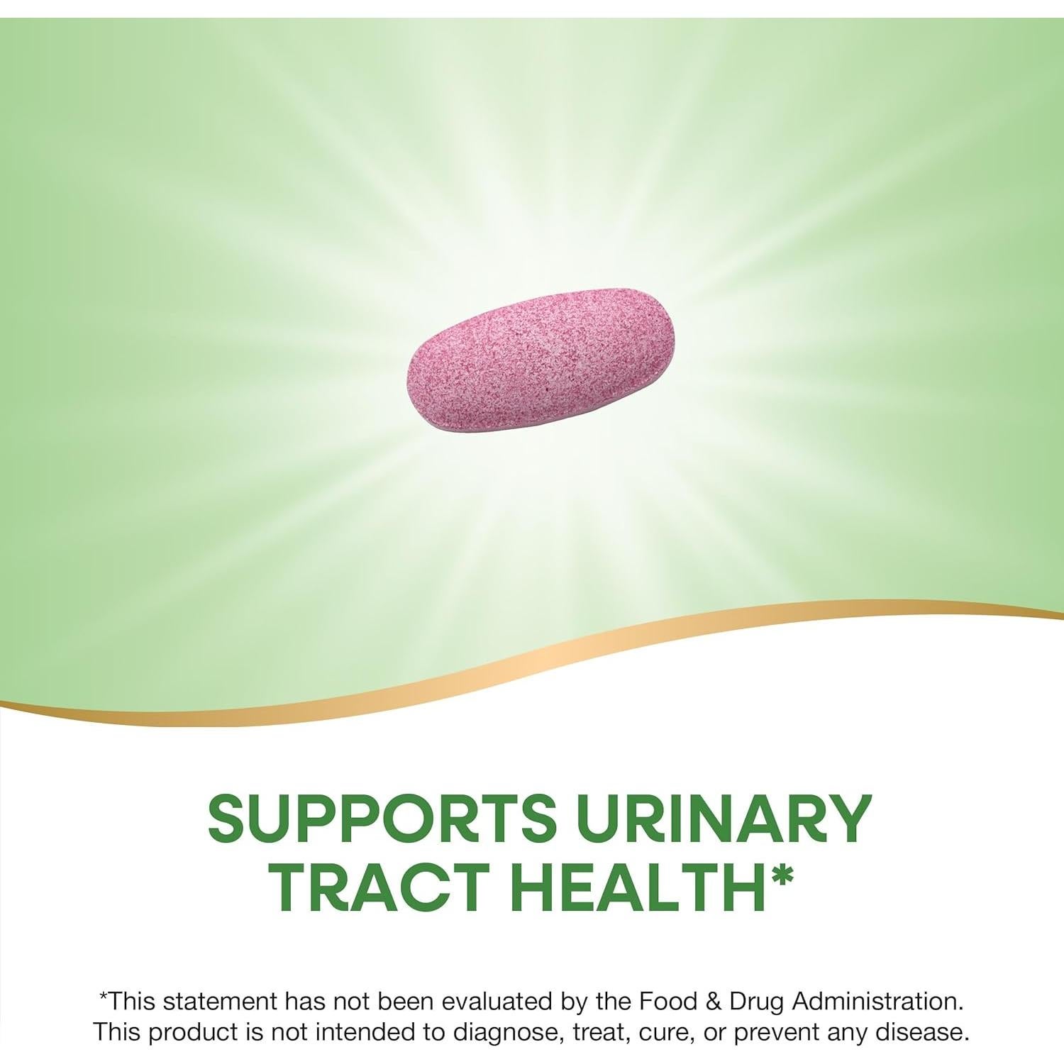 Suplemento de Arándano Nature's Way 60 Tabletas Vitamina C