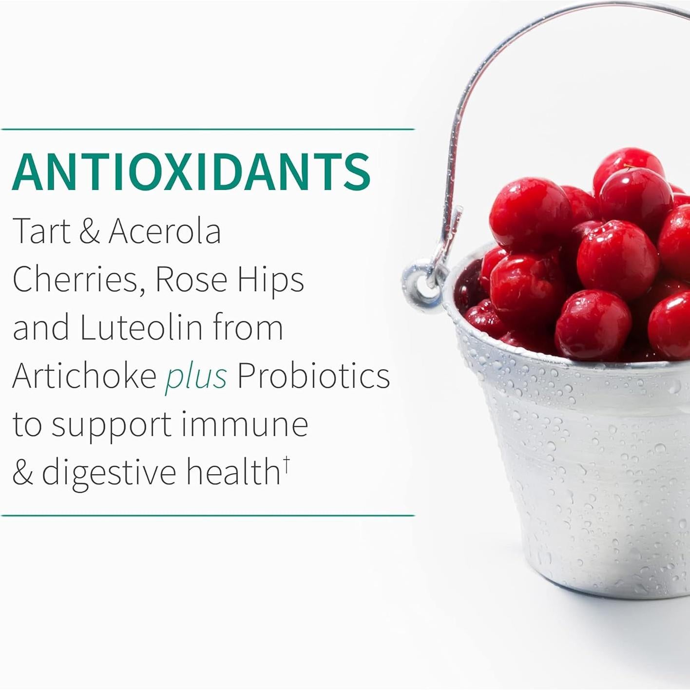 Suplemento Inmunológico Garden of Life Quercetina 30 Tabletas