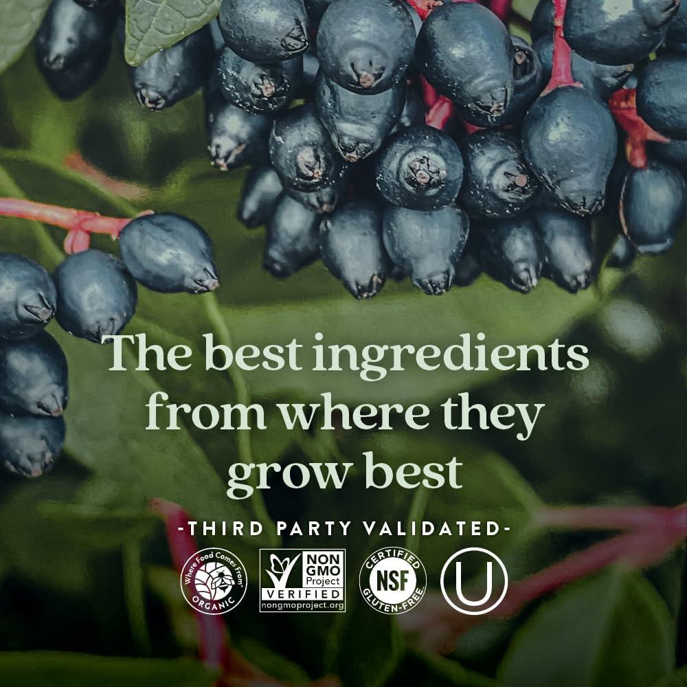 Vitamina C Fermentada Nueva Capítulo 60 Tabletas Inmunidad