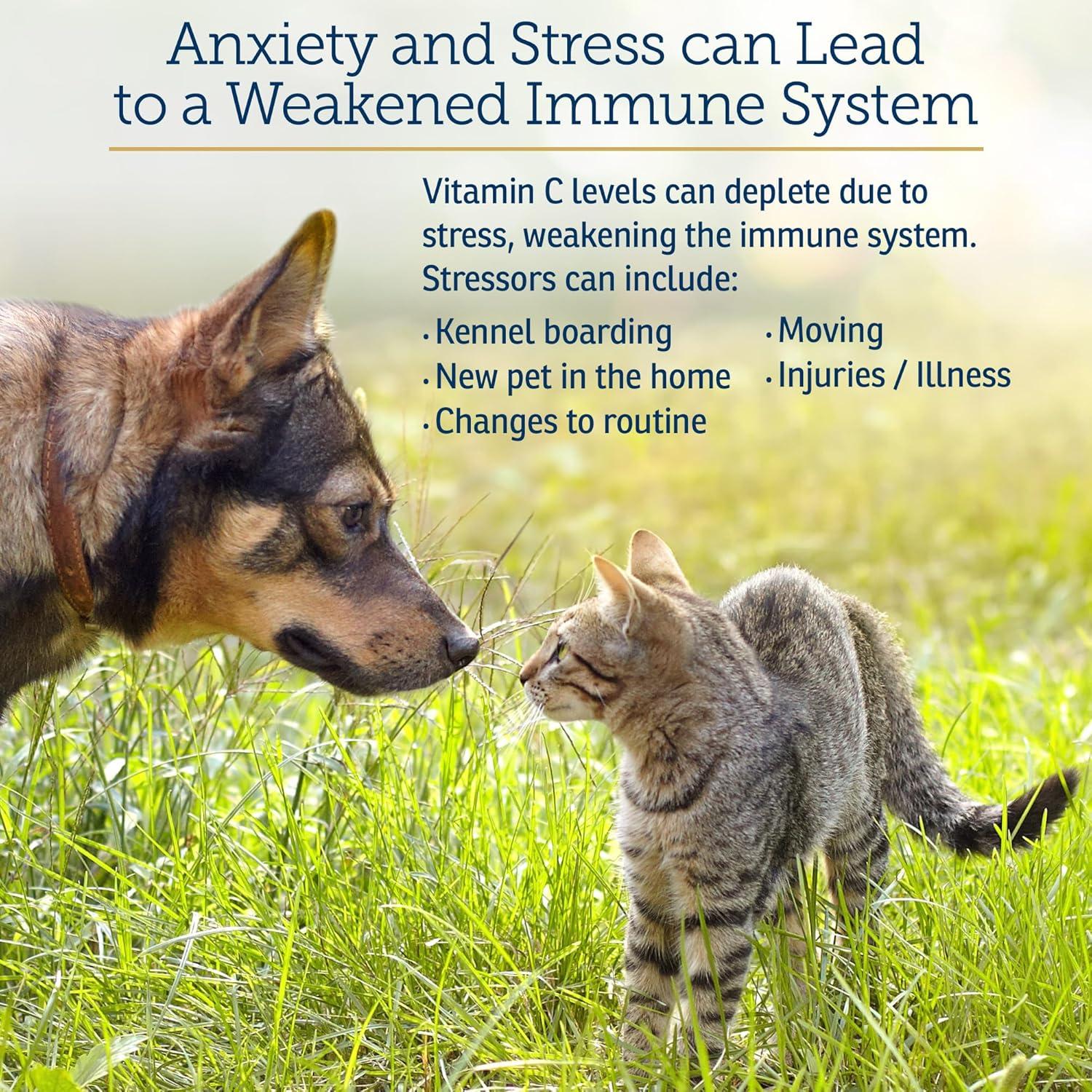 Suplemento Vitamina C para Perros y Gatos Rx Vitamins 113 g