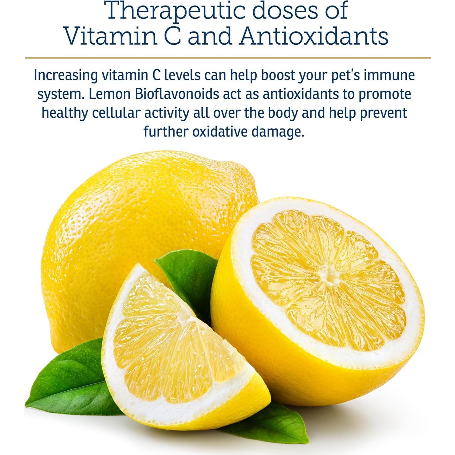 Suplemento Vitamina C para Perros y Gatos Rx Vitamins 113 g