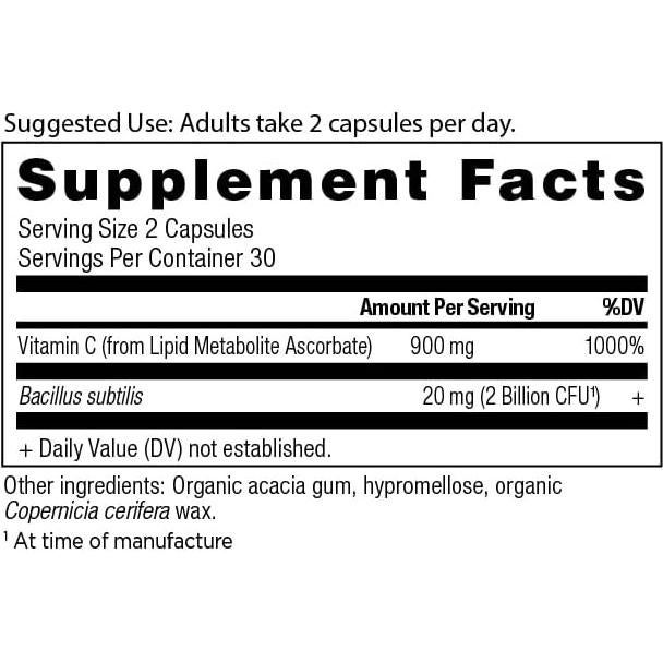 Suplemento Probioticos y Vitamina C Nutrición Antigua 30 Porciones