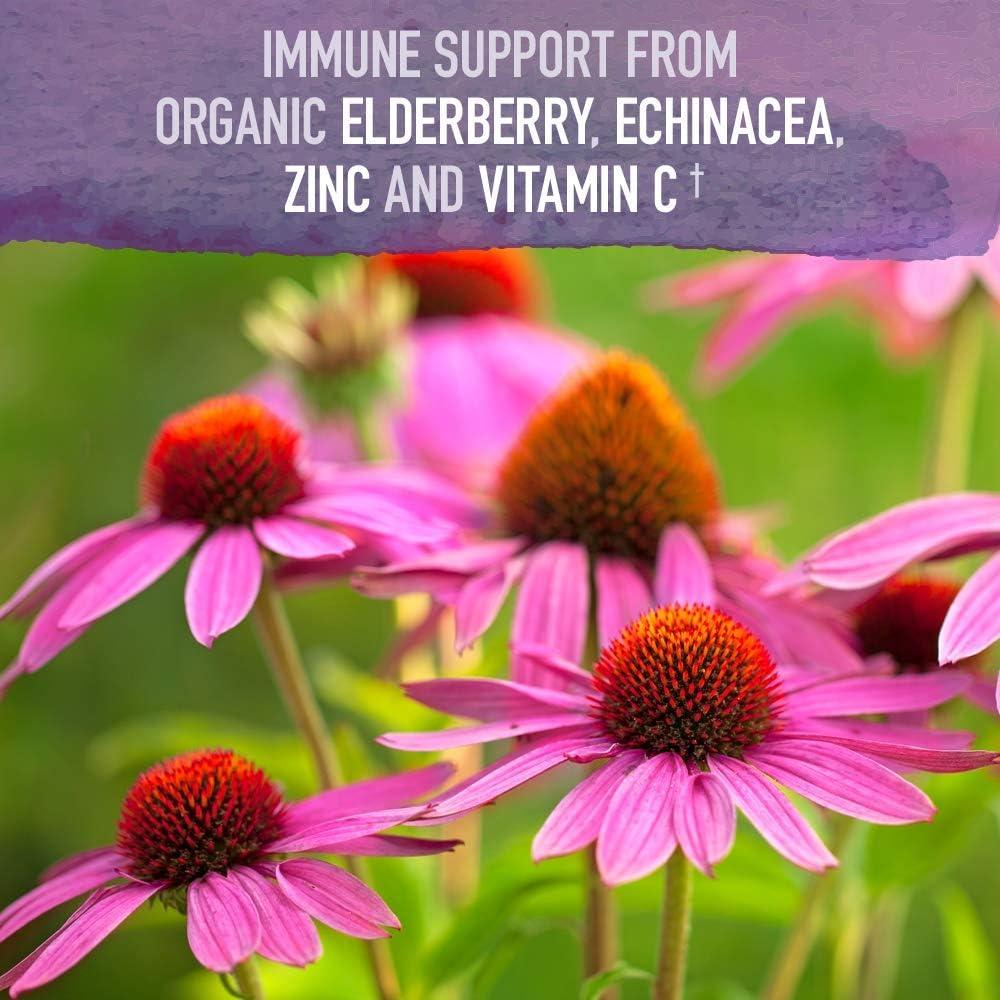 Jarabe Inmunológico Orgánico Garden of Life 195 ml + Zinc 30 mg