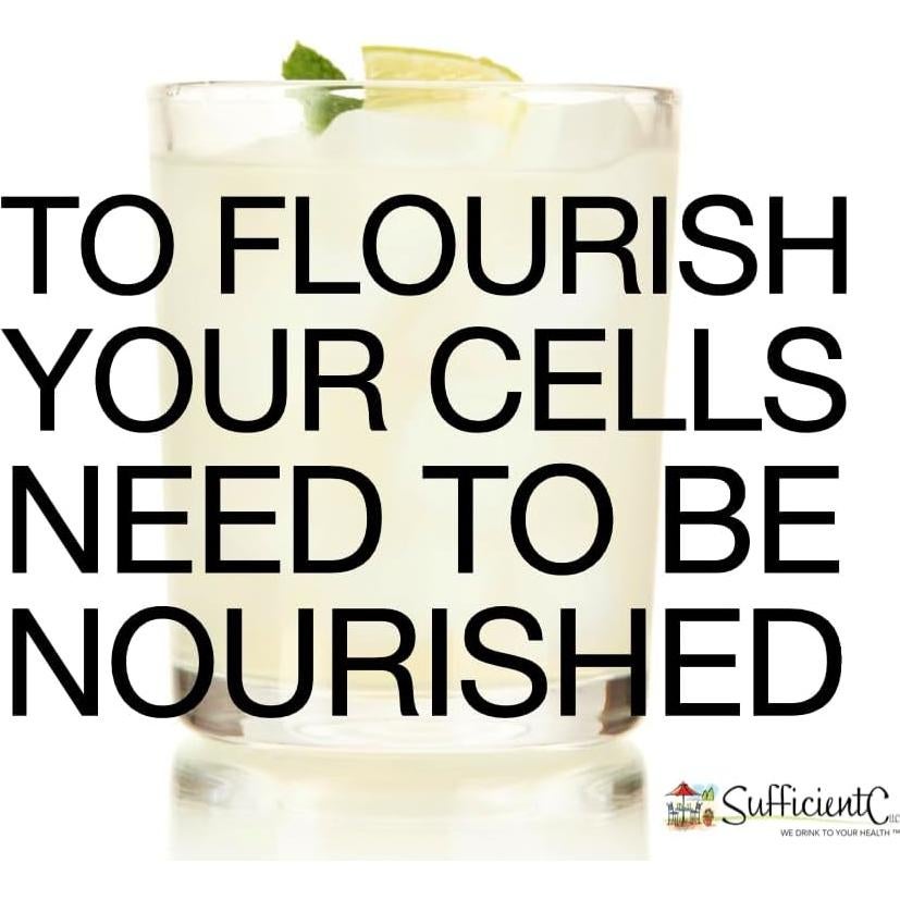 Suficiente-C Bebida Inmuno-Ade 125g Vitamina C Limón Durazno