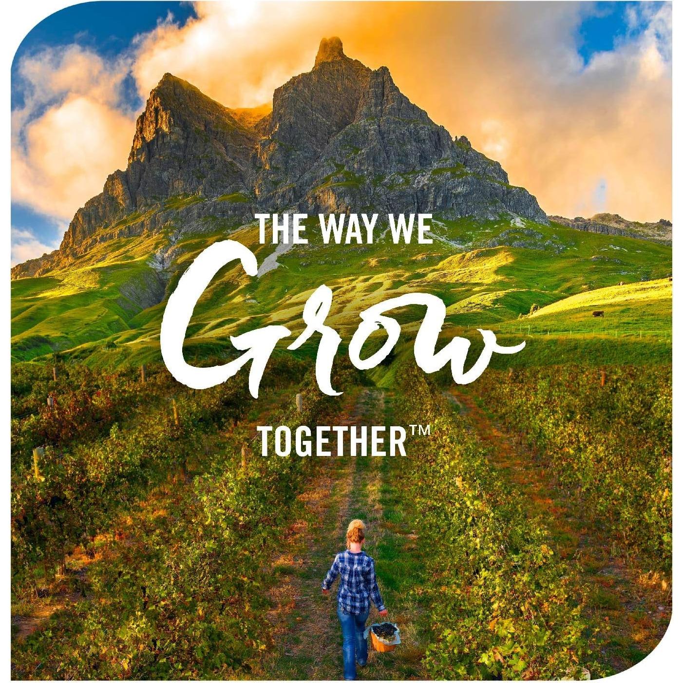 Jarabe Inmunológico Sambucus Nature's Way 12 x 19.84 ml