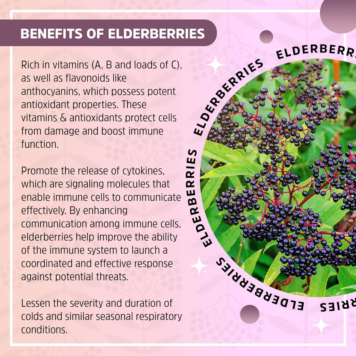 Gomitas Orgánicas para Alergias Seattle Elderberry 198g
