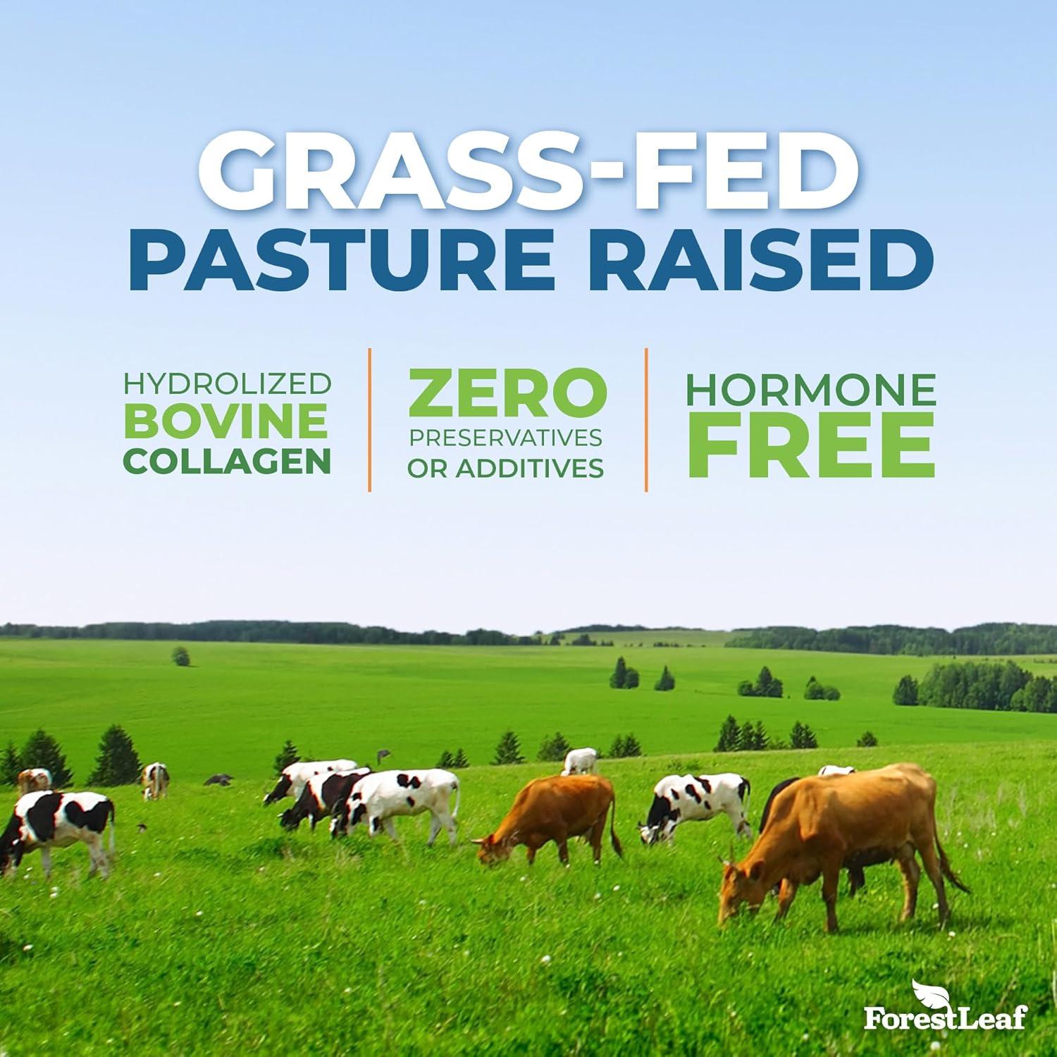 Colágeno Múltiple ForestLeaf 120 Caps con Ácido Hialurónico y Vitamina C