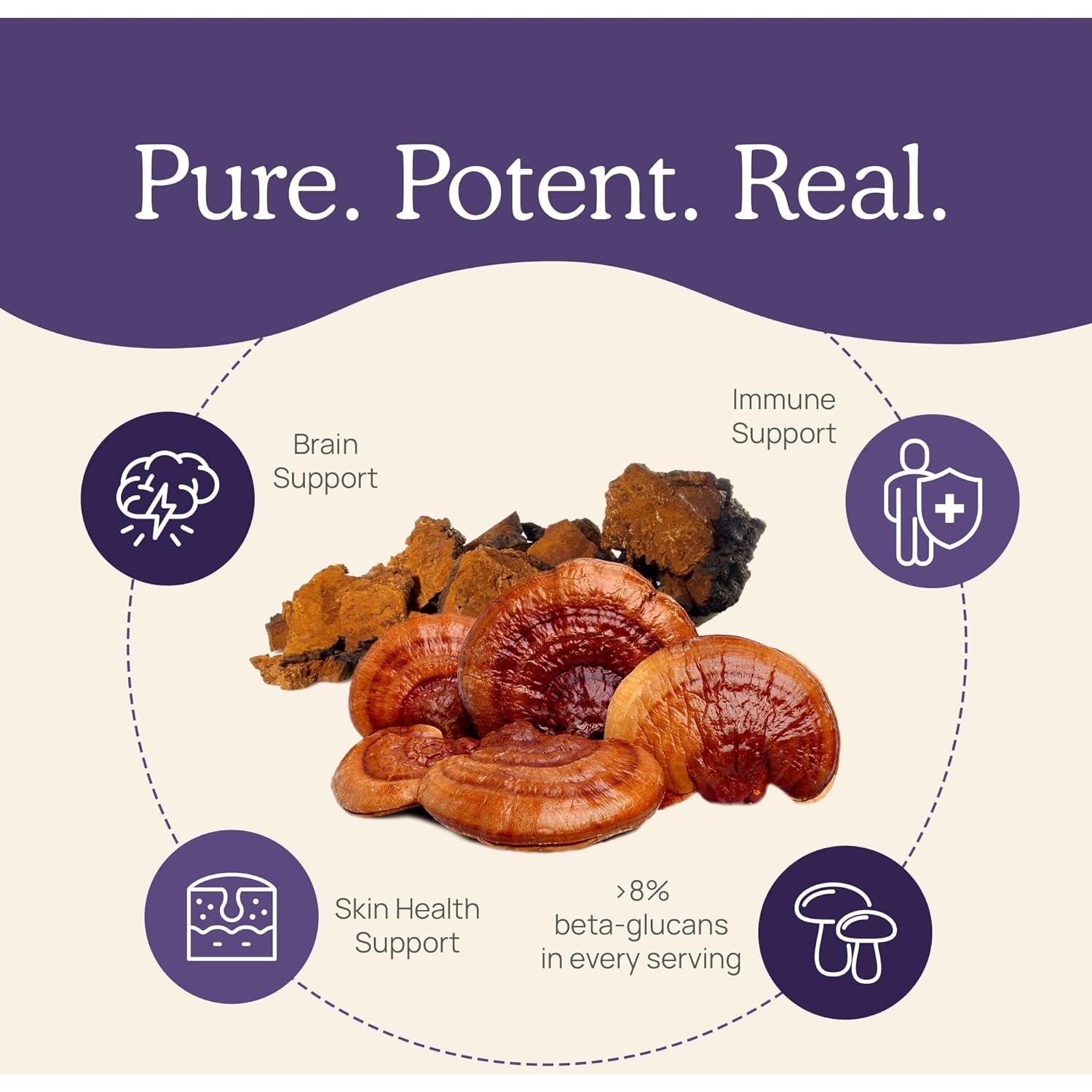 Cápsulas de Zinc y Vitamina D2 Real Mushrooms - 120 Unidades