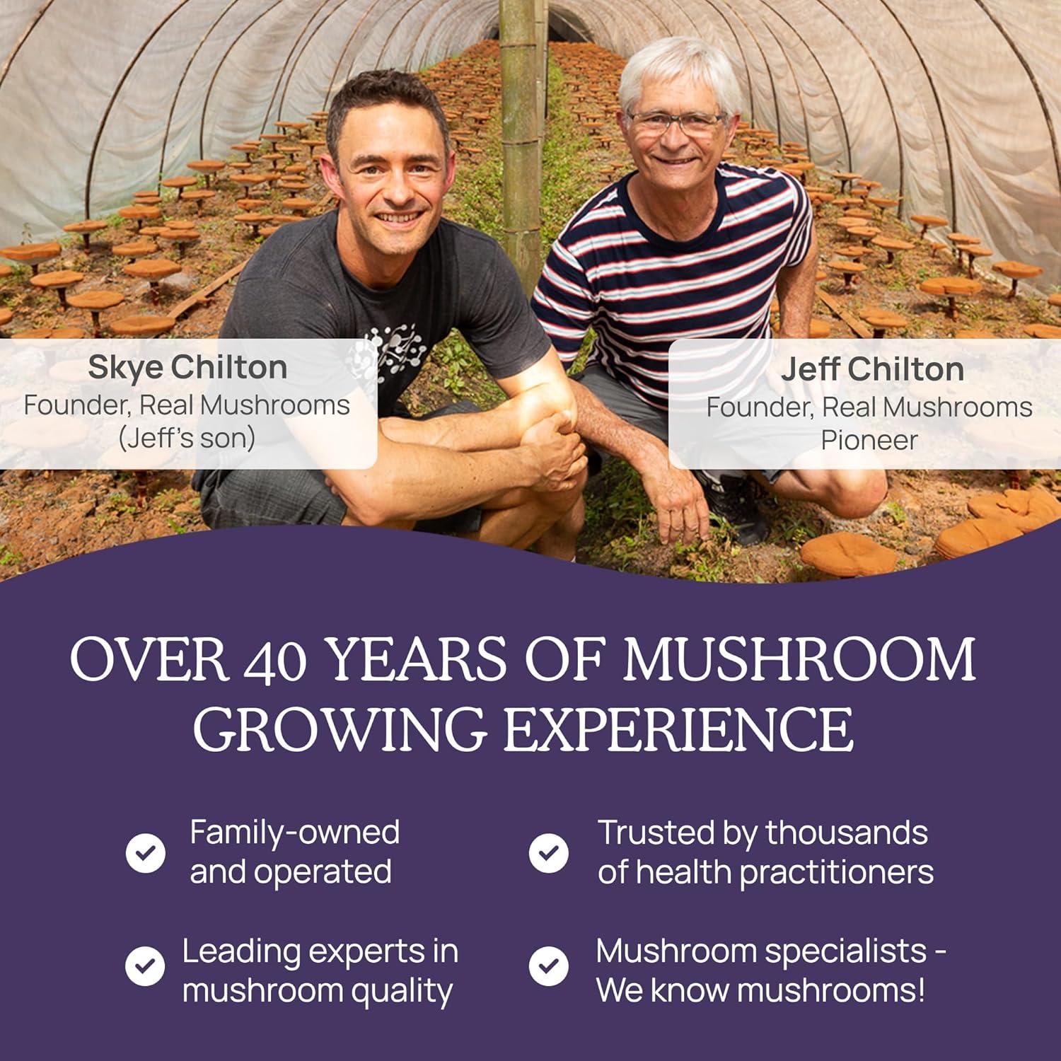 Cápsulas de Zinc y Vitamina D2 Real Mushrooms - 120 Unidades