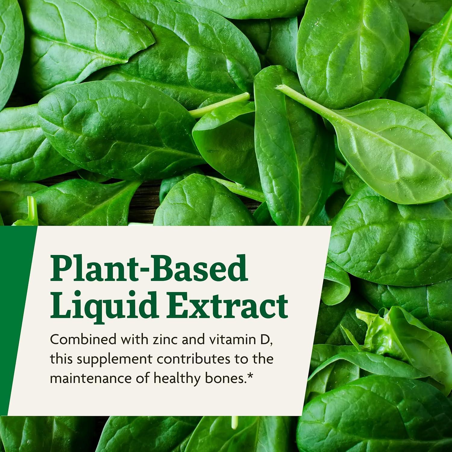 Floradix Suplemento Líquido de Calcio y Magnesio 250 ml