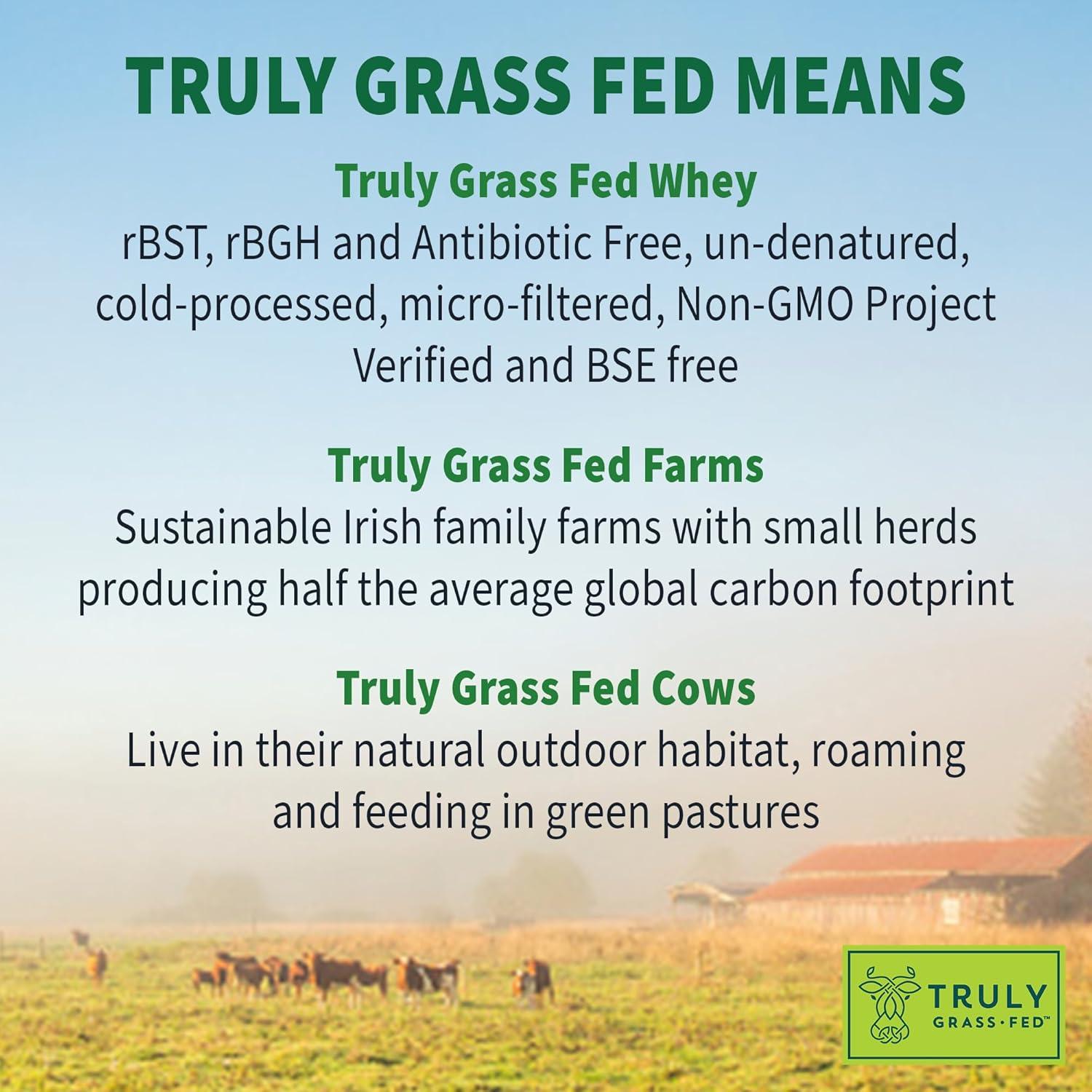 Polvo de Proteína de Suero Jardín de la Vida Vainilla 680g