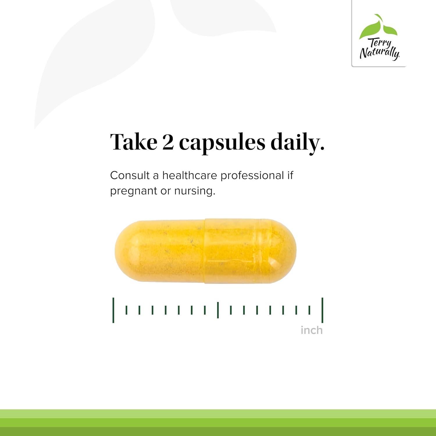 Suplemento Herbal Terry Naturally Pies y Nervios Saludables - 120 Cápsulas Veganas con Vitamina B12 y Boswellia