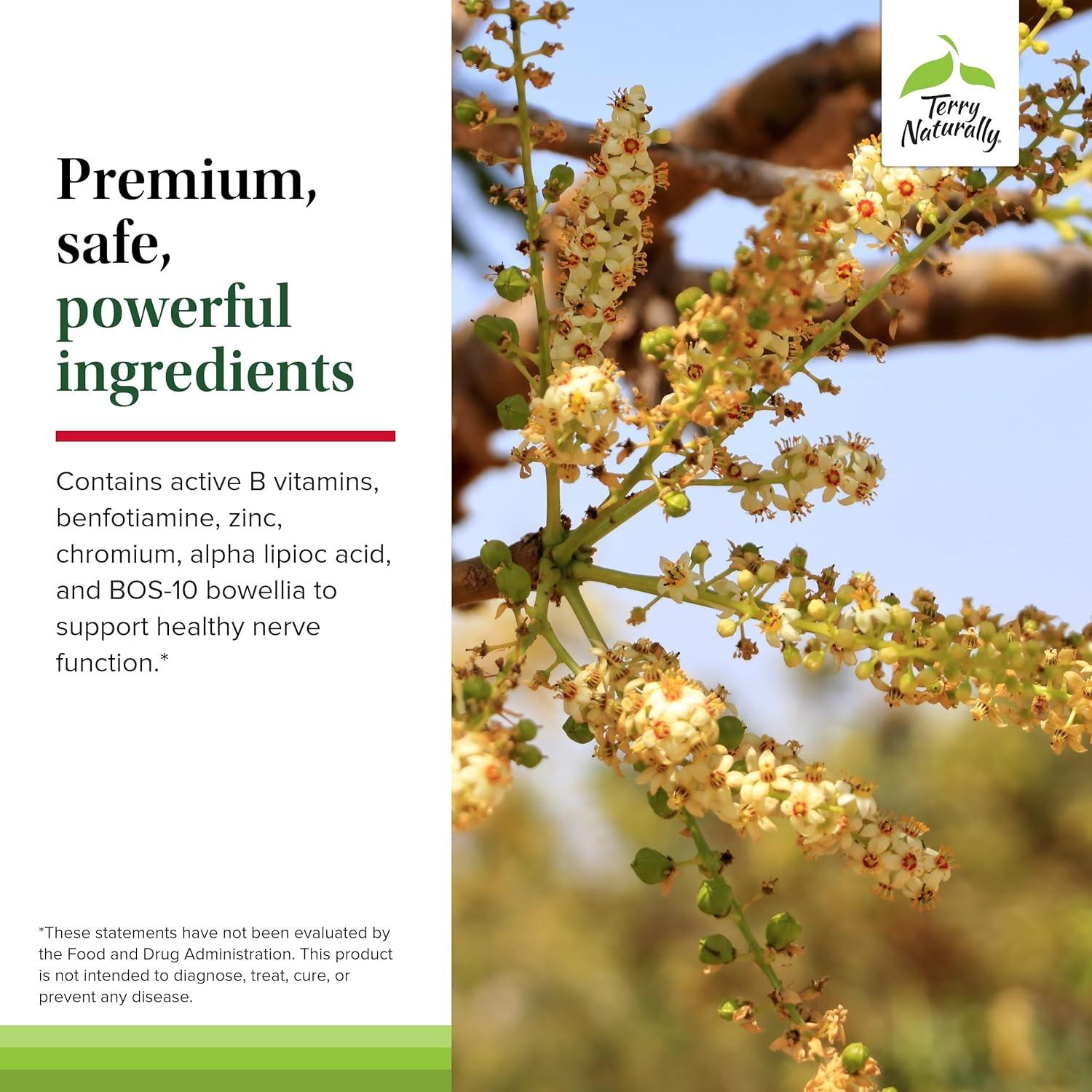 Suplemento Herbal Terry Naturally Pies y Nervios Saludables - 120 Cápsulas Veganas con Vitamina B12 y Boswellia