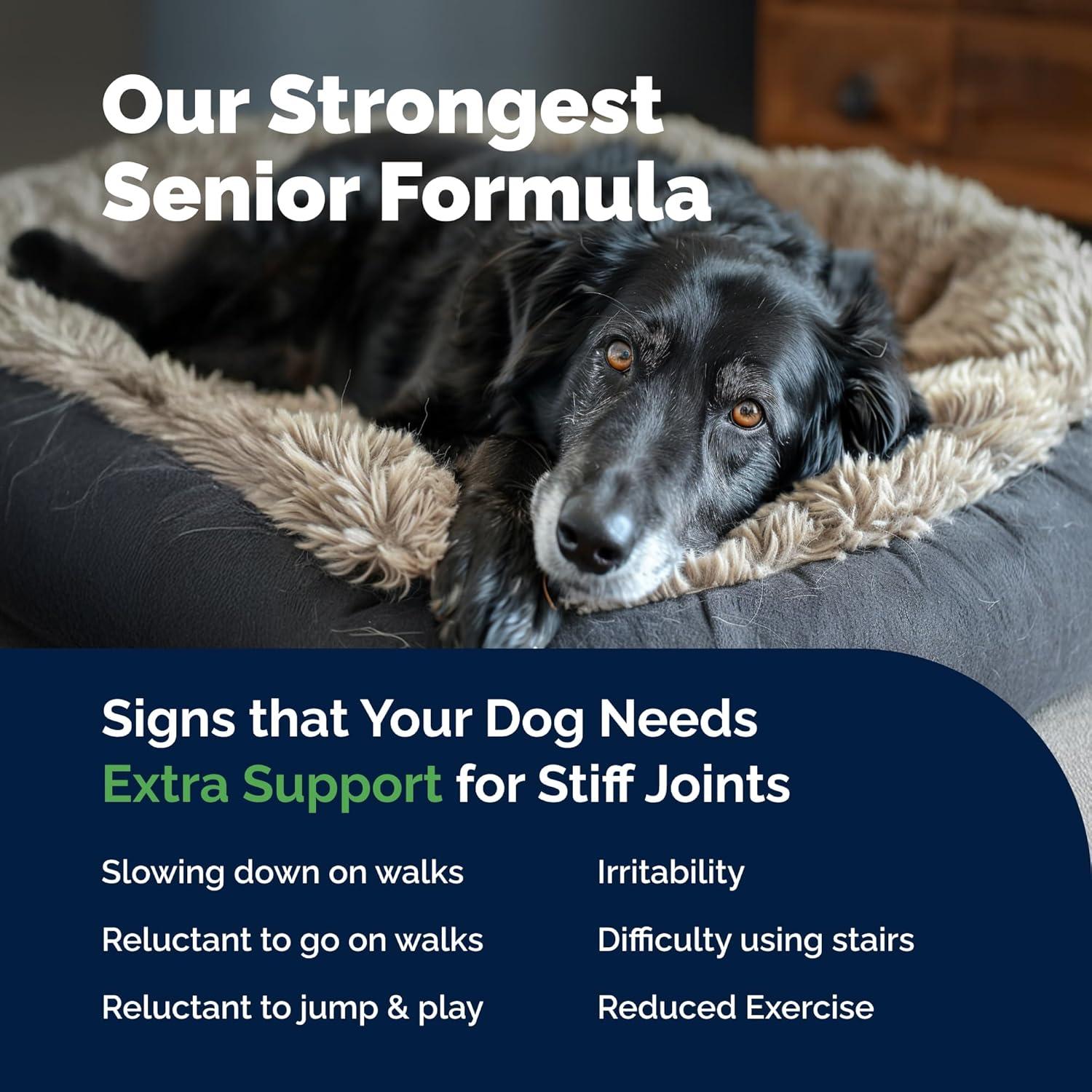 Suplemento Articular YuMOVE para Perros Mayores - 120 Tabletas