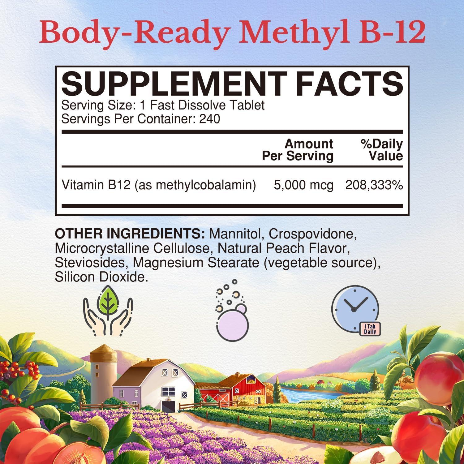 Vitalitown Vitamina B12 Metílica 5000 mcg 240 Tabletas Rápidas