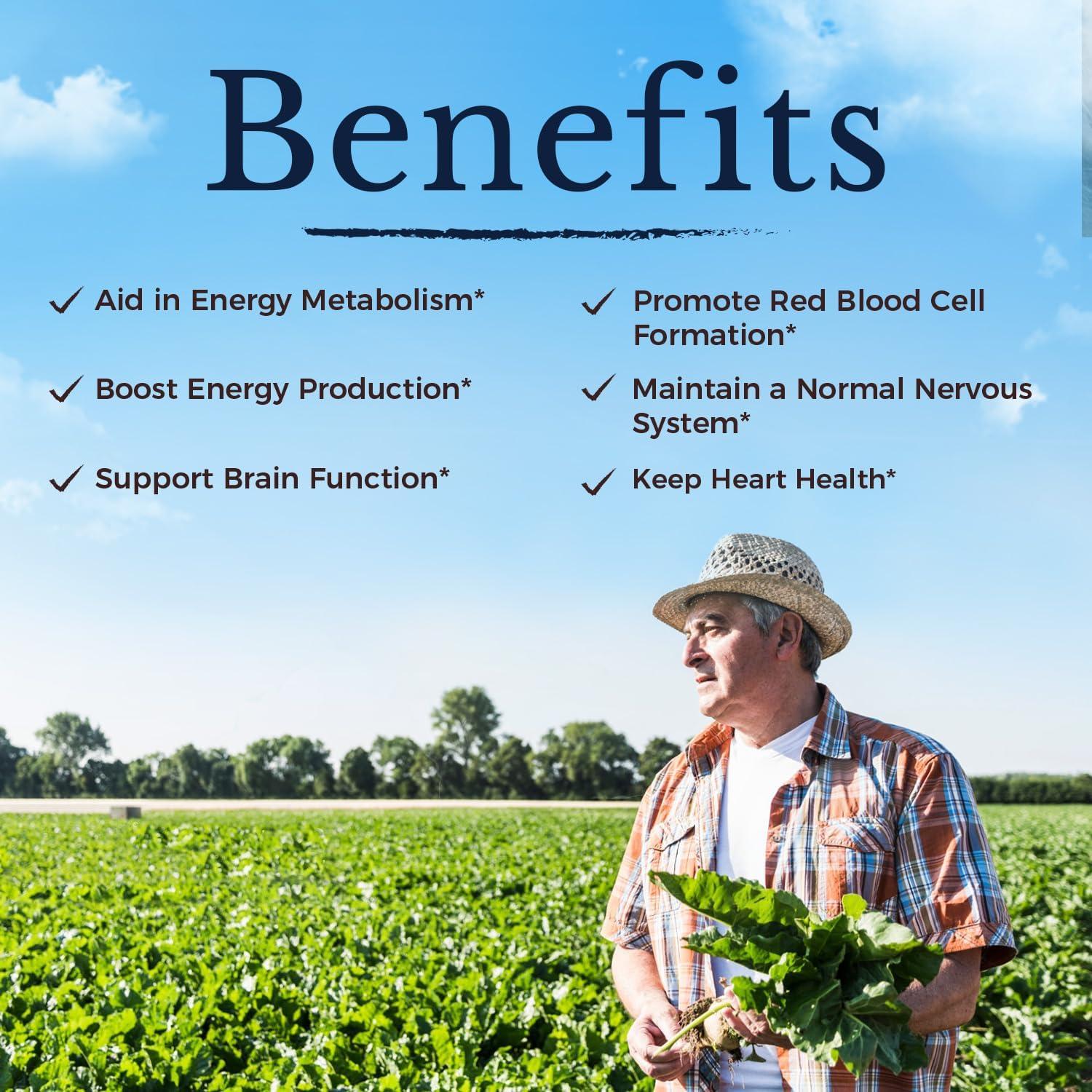 Vitalitown Vitamina B12 Metílica 5000 mcg 240 Tabletas Rápidas