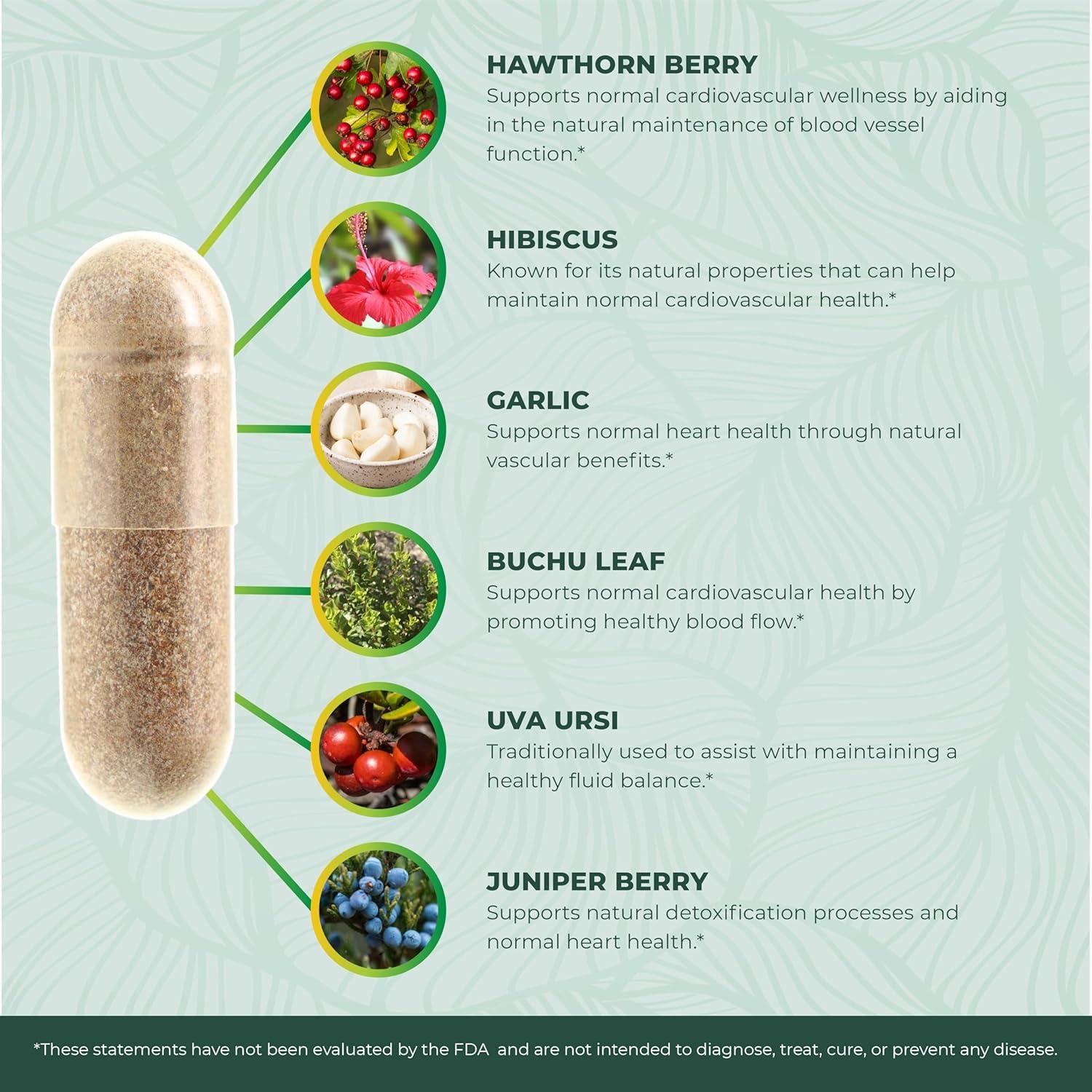 Suplemento de Presión Arterial PurePremium 90 Cápsulas Baya de Espino